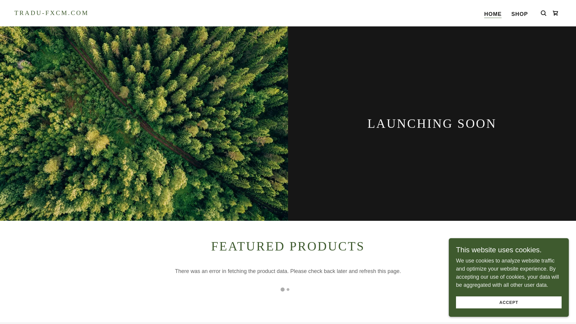 website screenshot of https://tradu-fxcm.com/