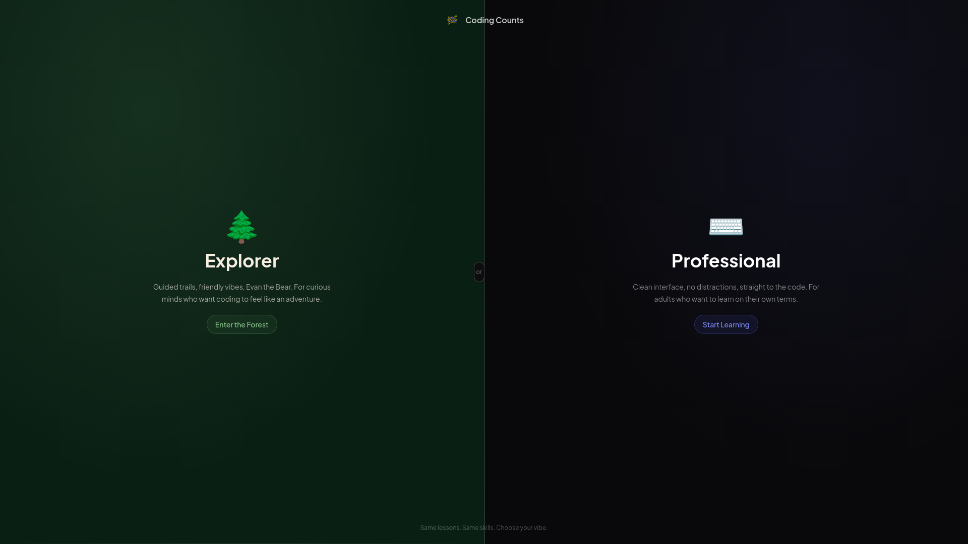 website screenshot of https://codingcounts.codes/