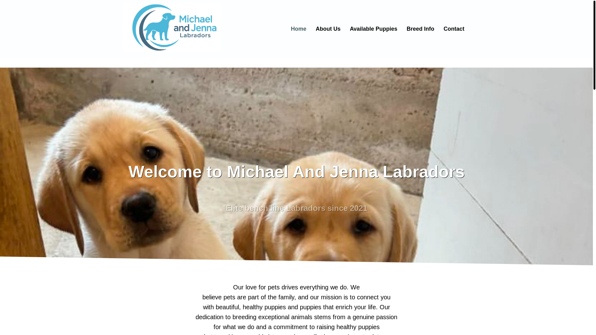 website screenshot of https://jasonhavanesepuppies.site/