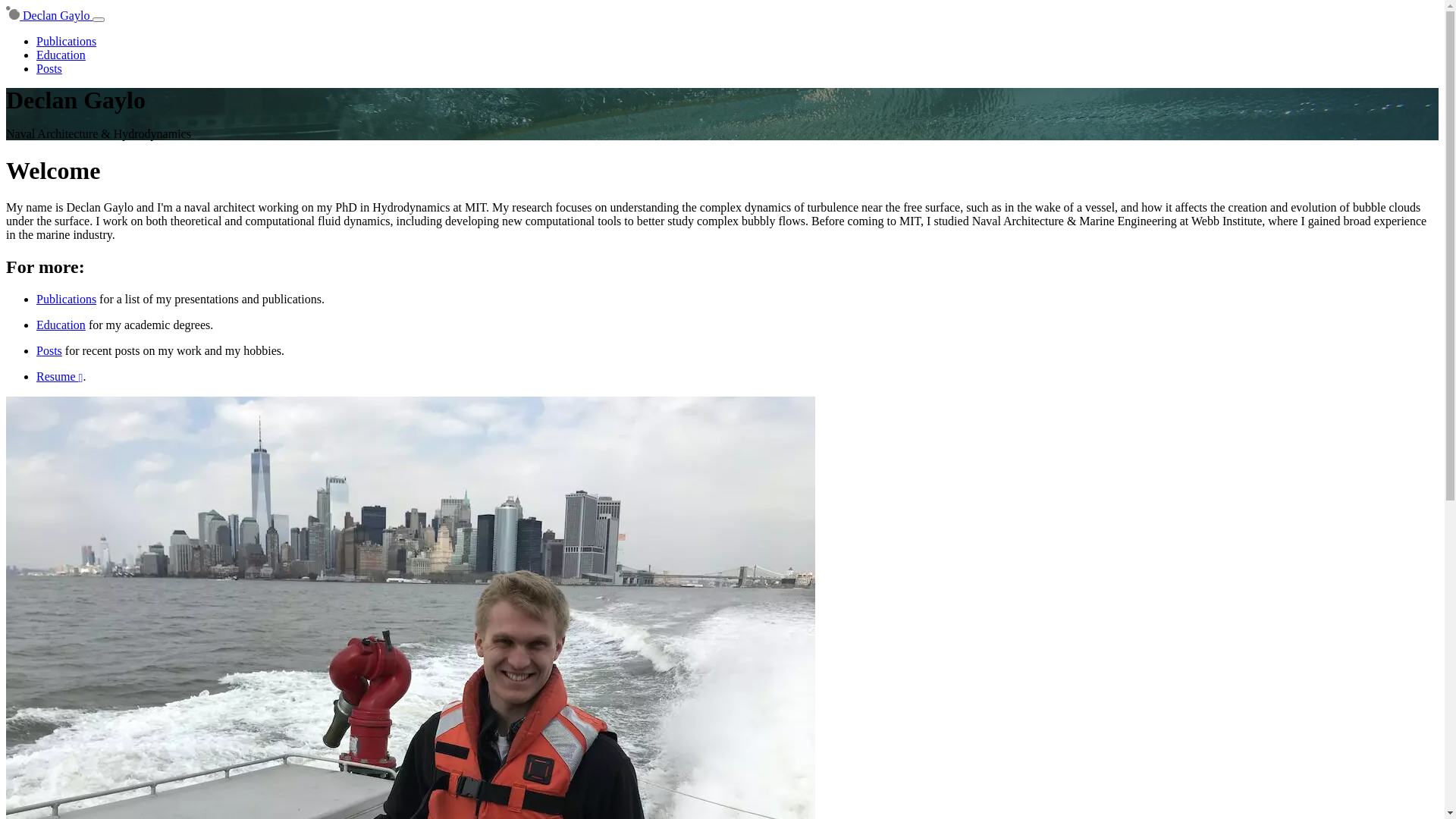 website screenshot of https://declan-gaylo-www.pages.dev/