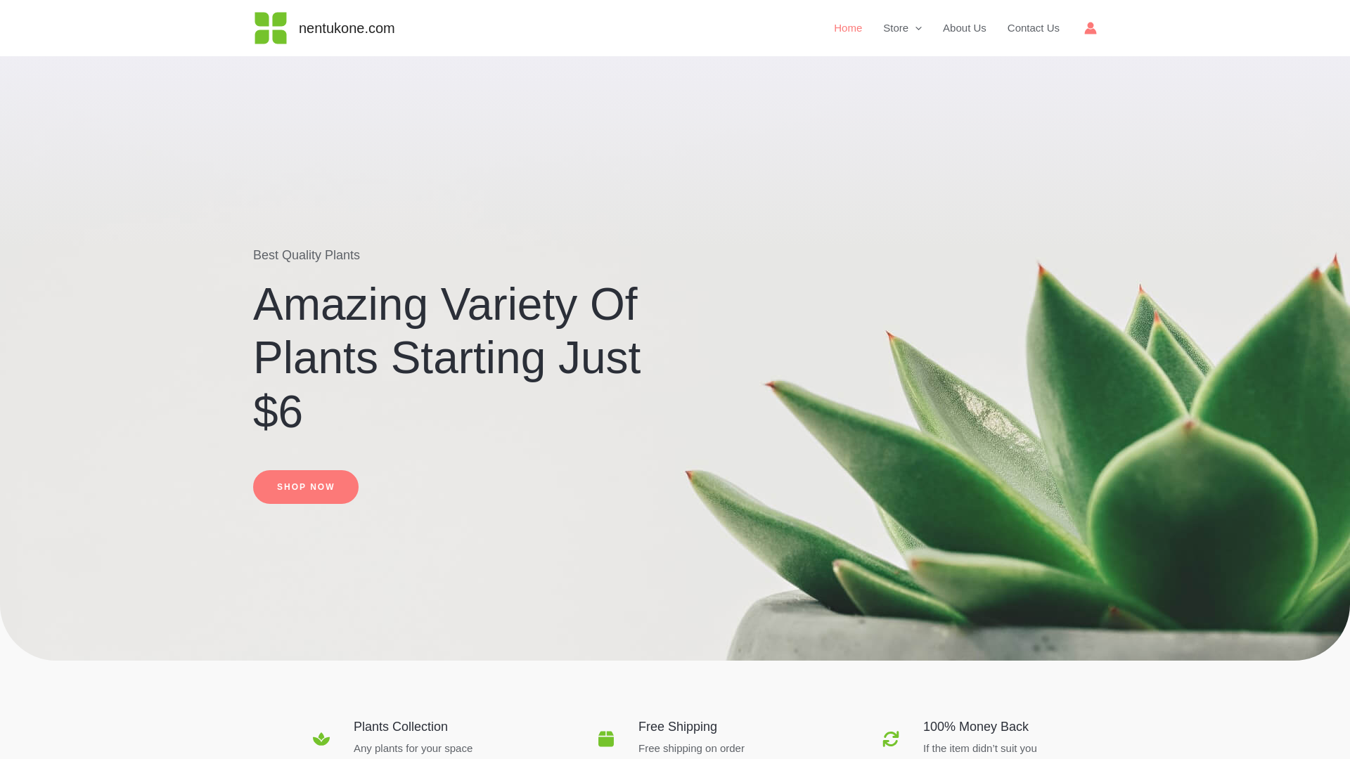 website screenshot of https://nentukone.com/