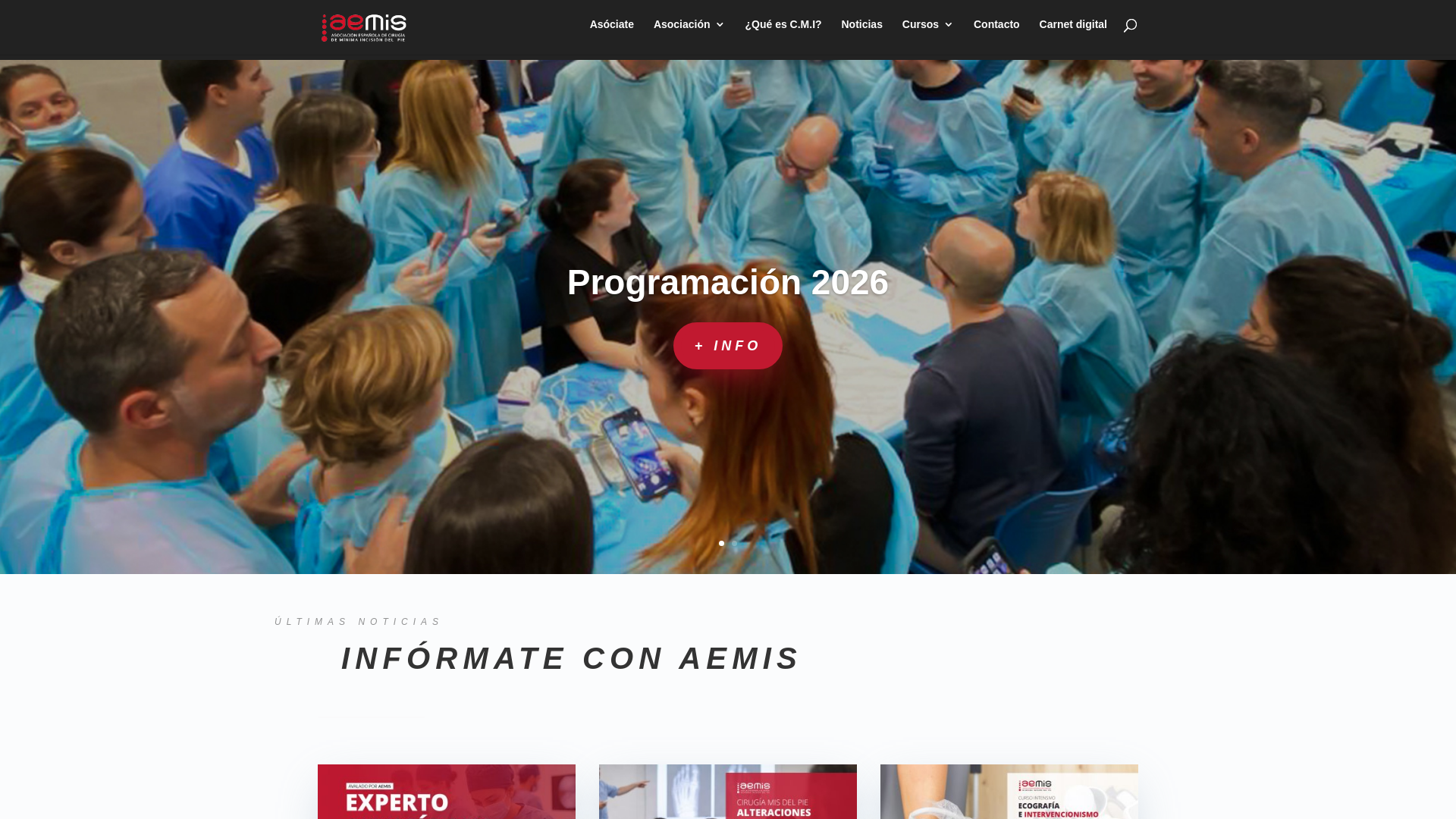 website screenshot of https://aemis.org