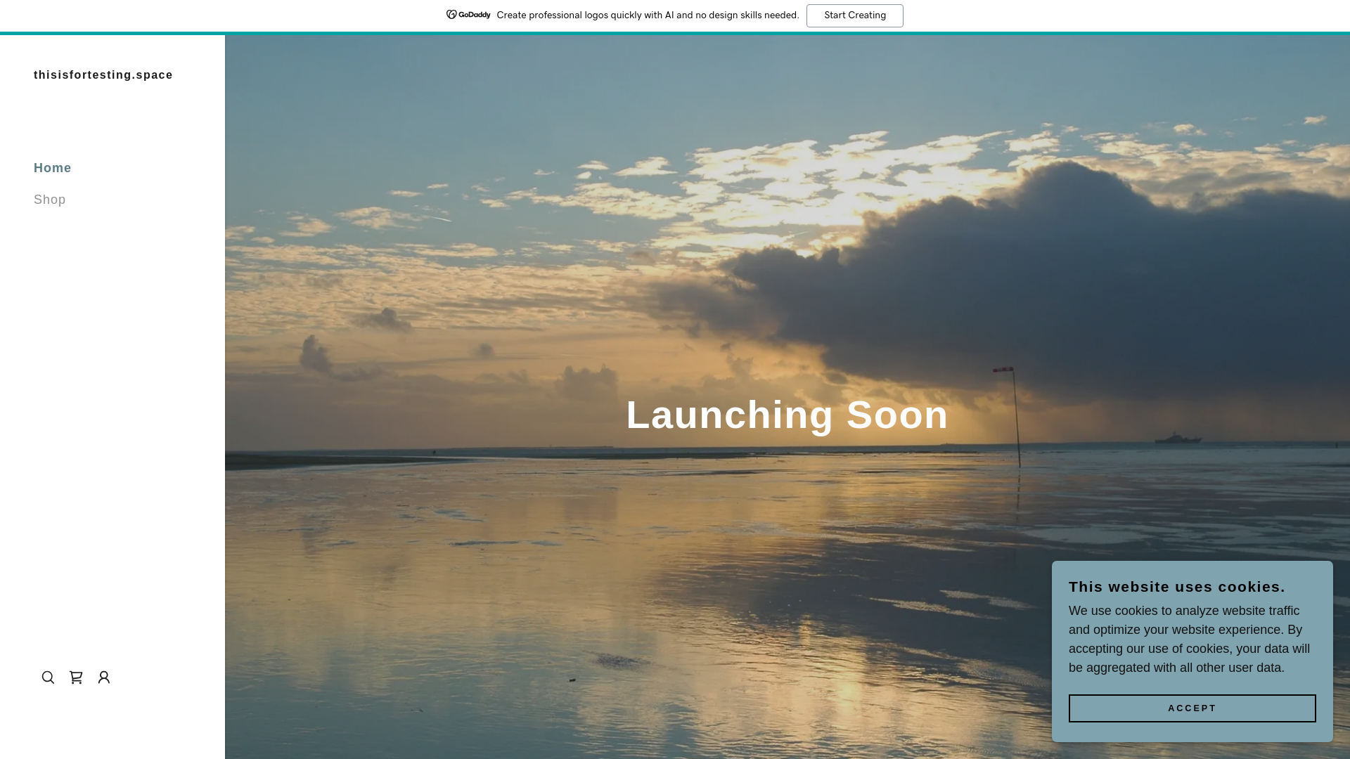 website screenshot of https://thisisfortesting.space/