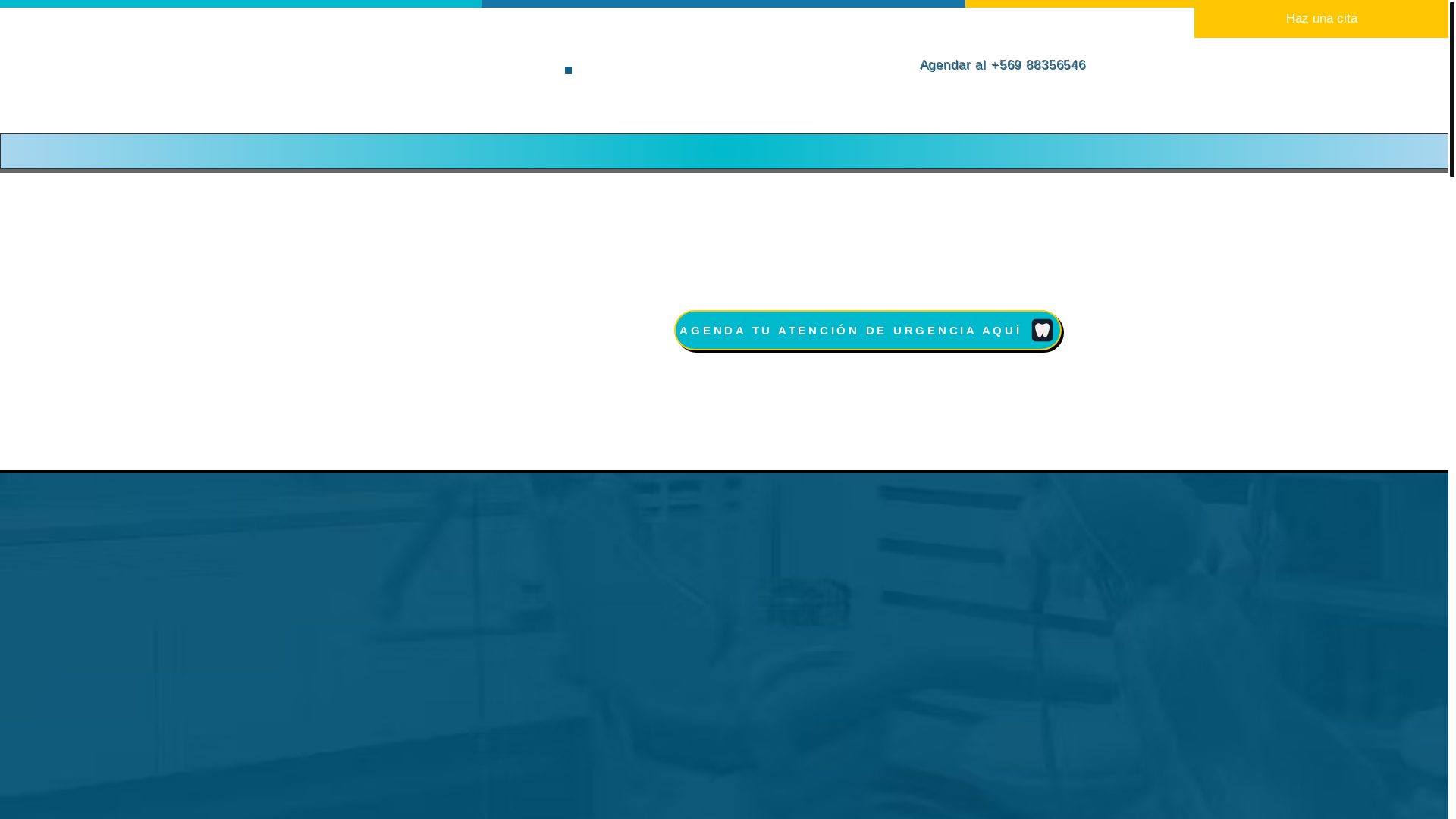website screenshot of https://dentomac.cl/