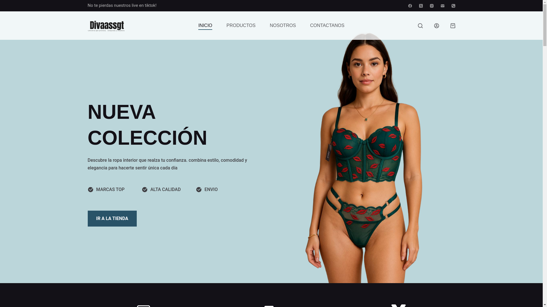 website screenshot of https://divaassgt.com/