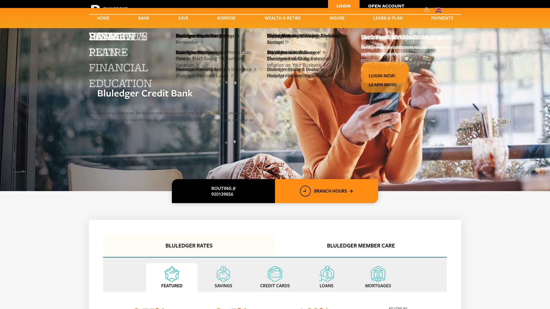 website screenshot of https://bluledger.com/