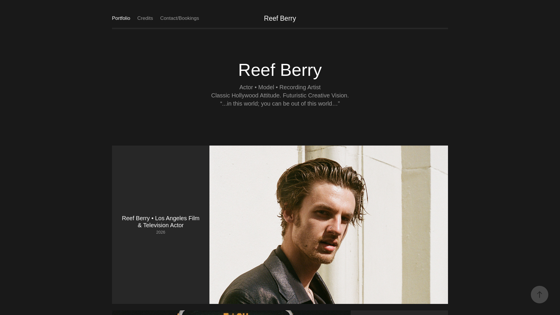 website screenshot of https://reefberryofficial.com/