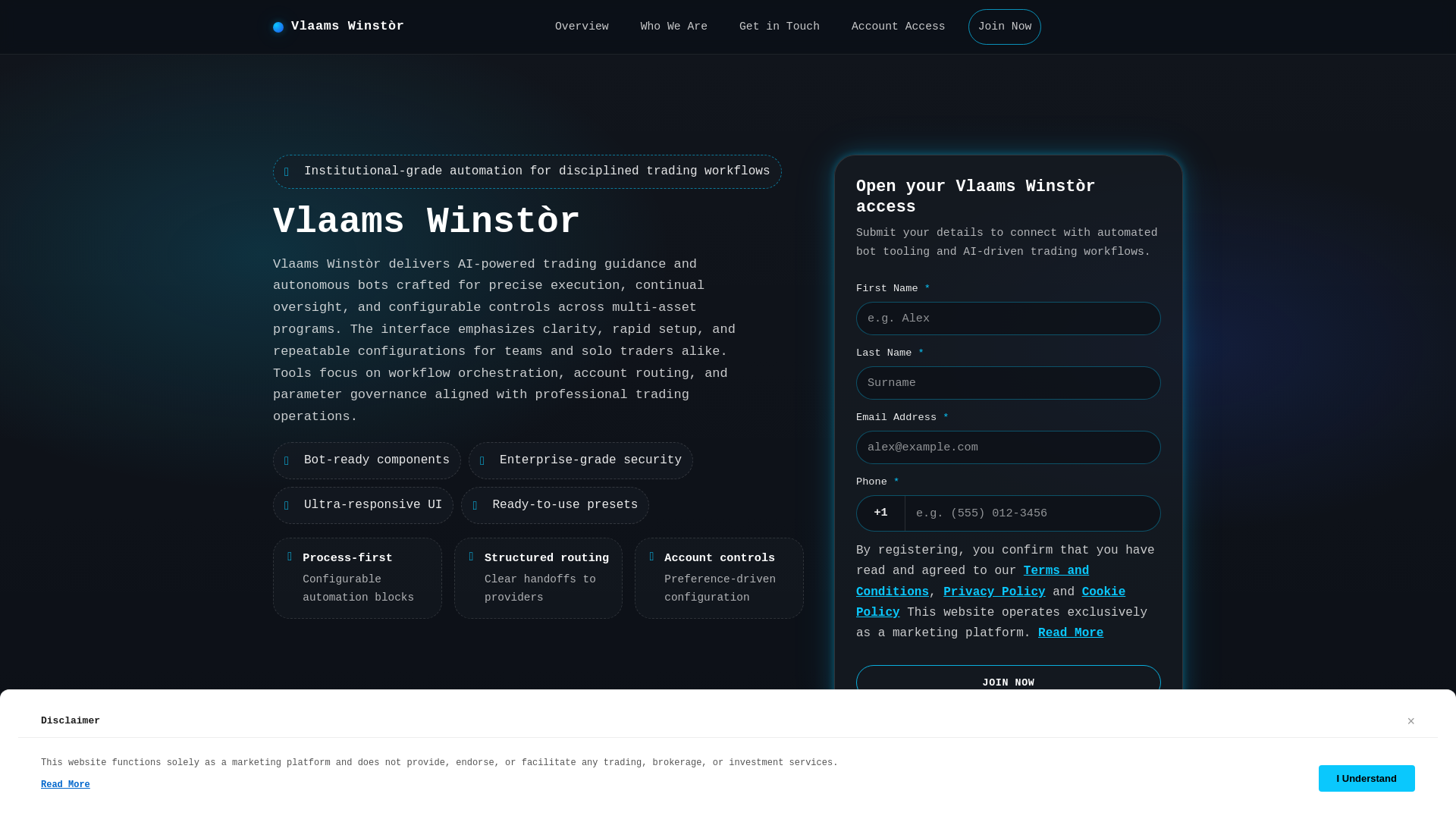 website screenshot of https://vlaamswinstor.digital