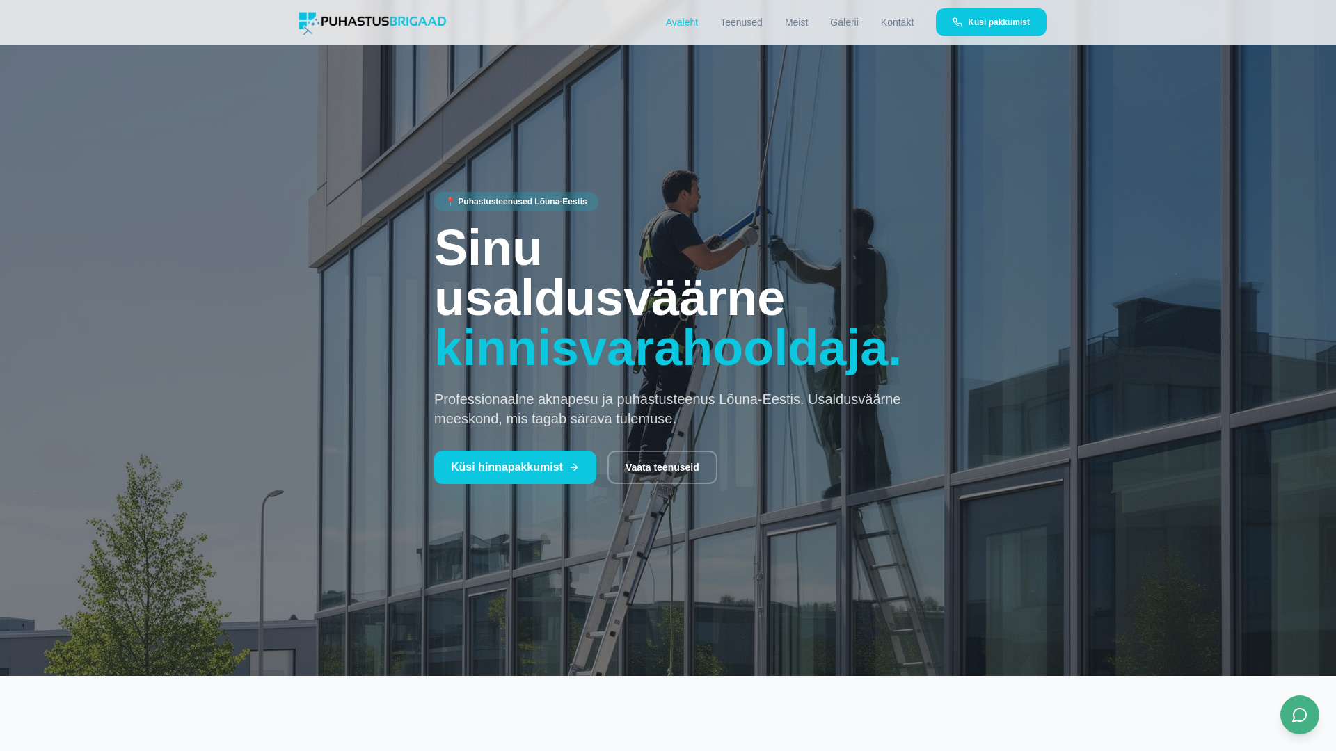 website screenshot of https://puhastusbrigaad.ee/