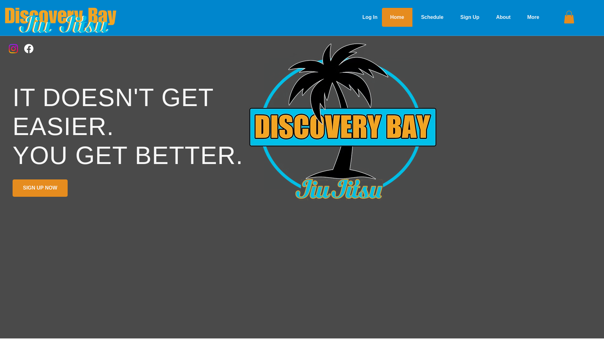 website screenshot of https://jiujitsudiscoverybay.com