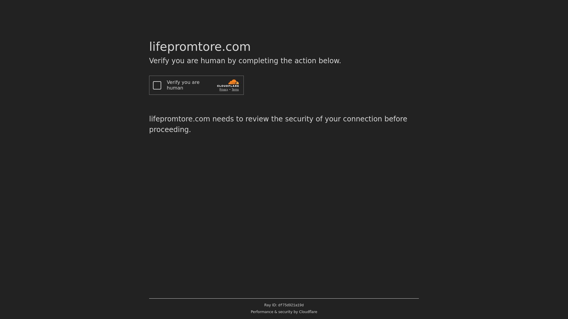 website screenshot of https://lifepromtore.com