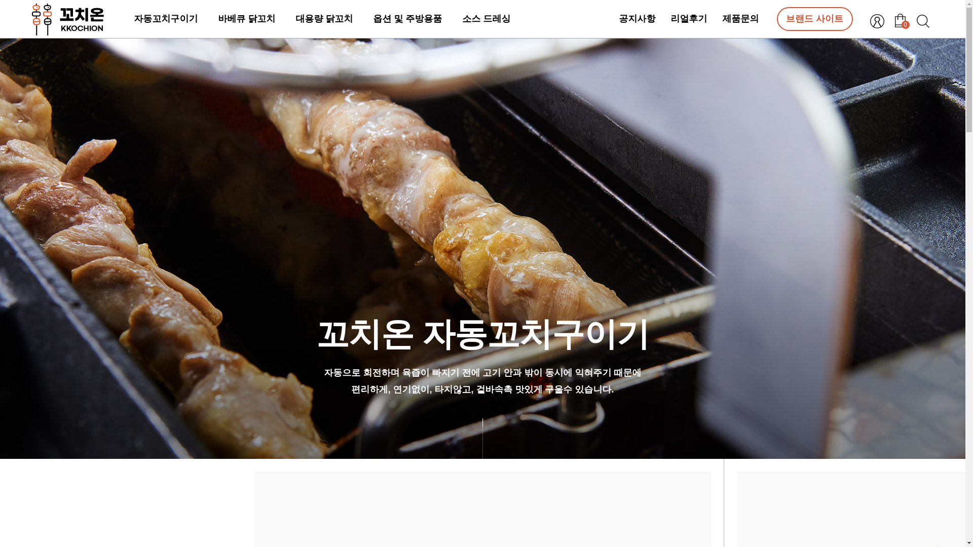 website screenshot of https://kkochion.com/