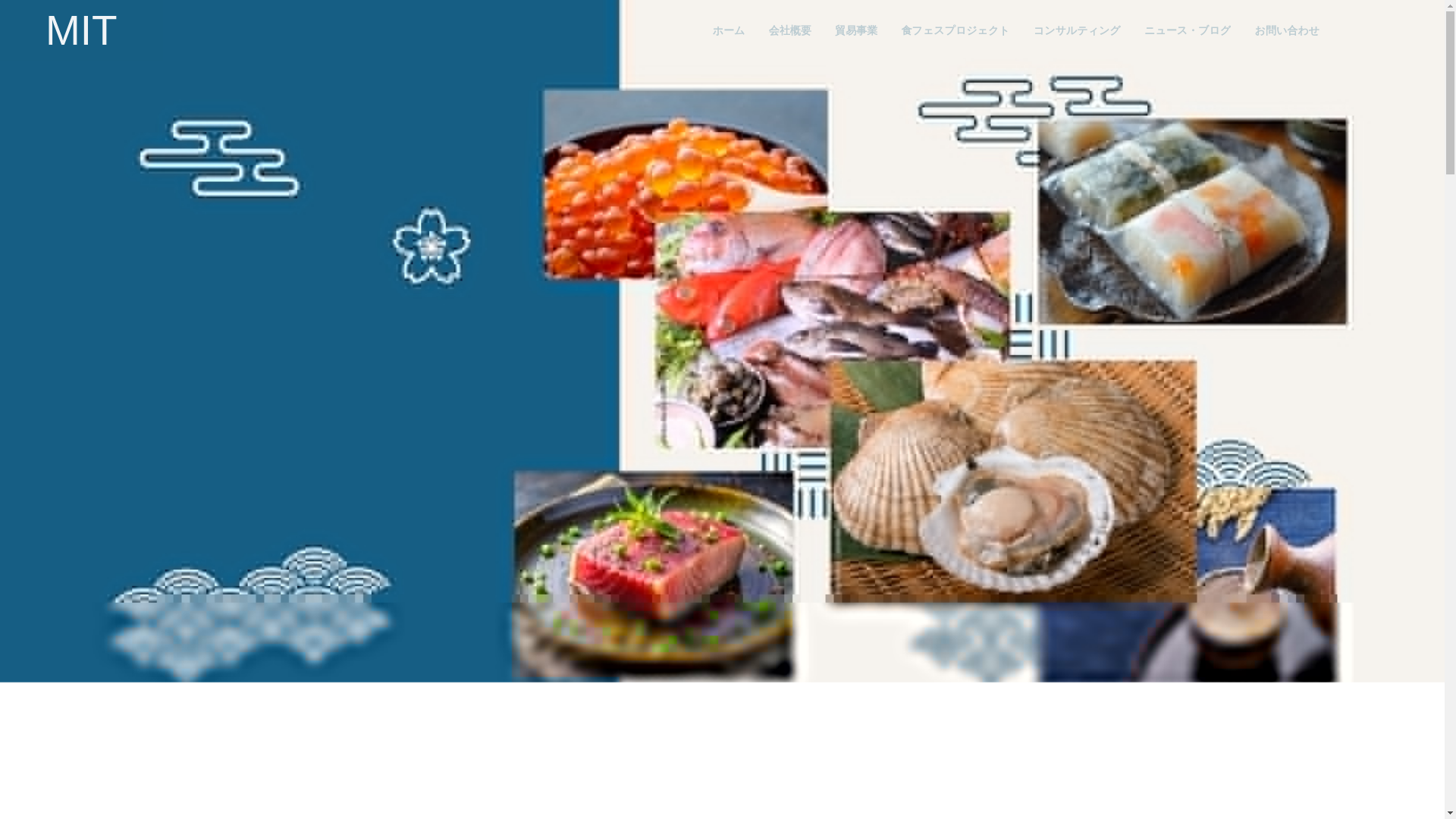website screenshot of https://mit-sealane.com/