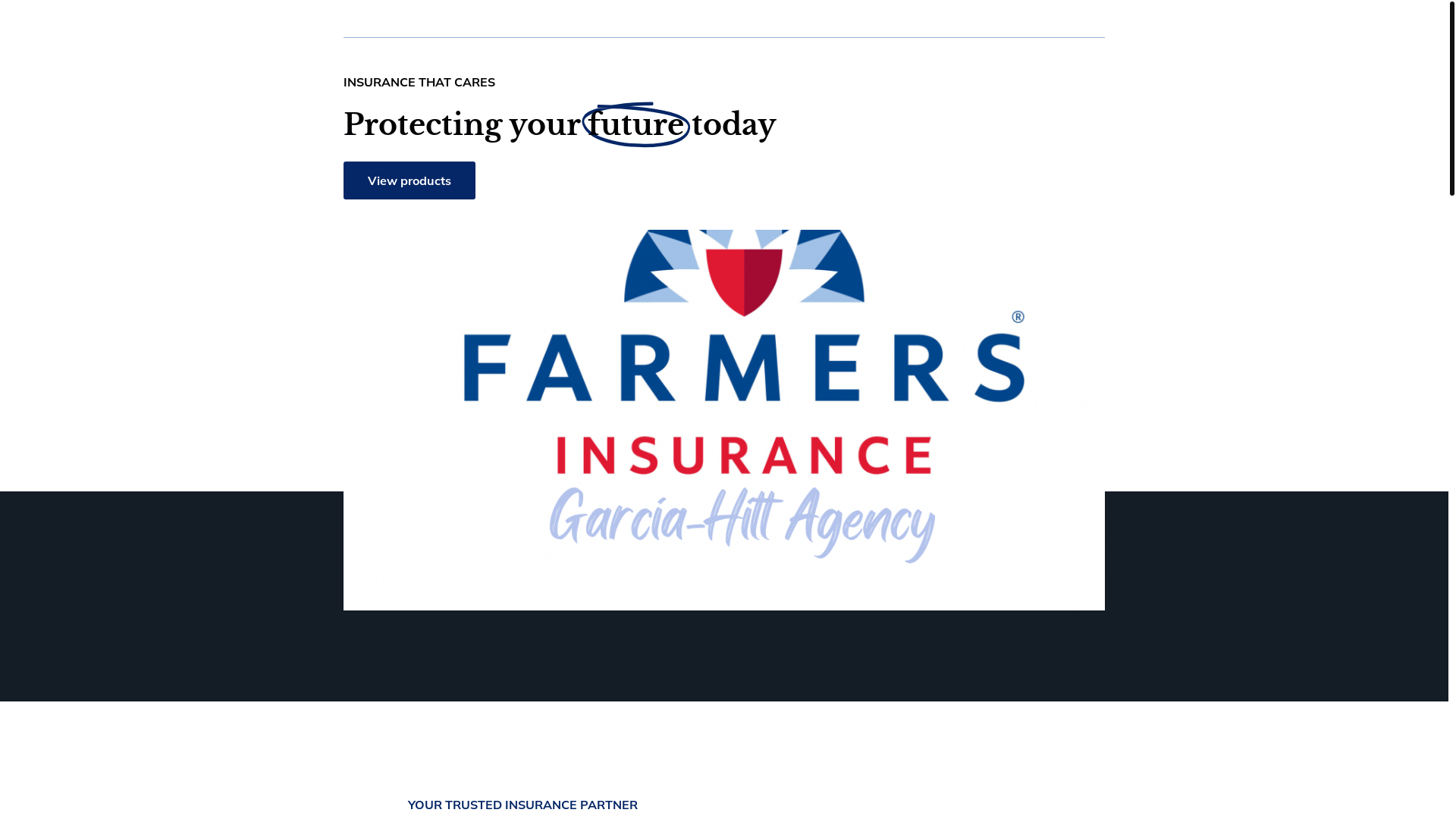 website screenshot of https://garciahittagency.com/