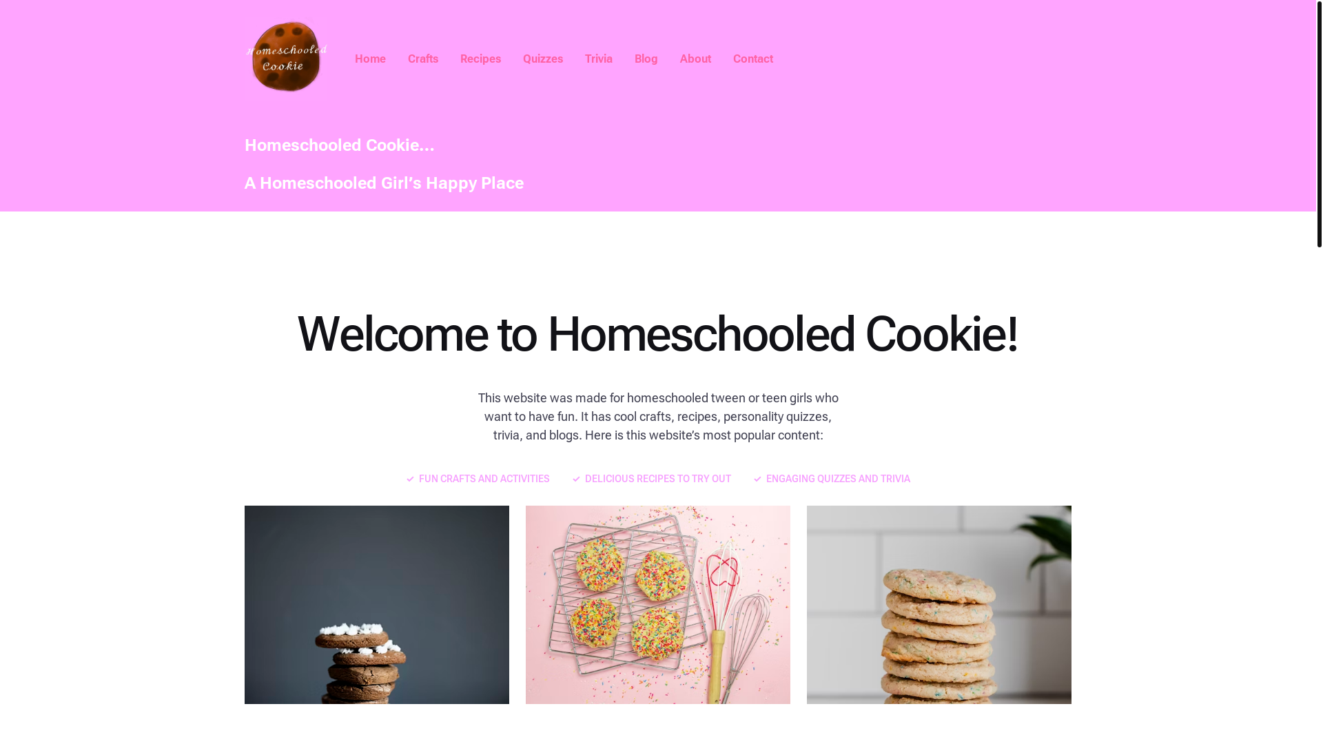 website screenshot of https://homeschooledcookie.com/
