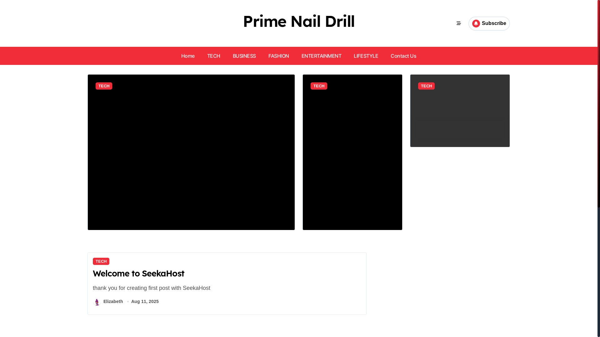 website screenshot of https://primenaildrill.com/