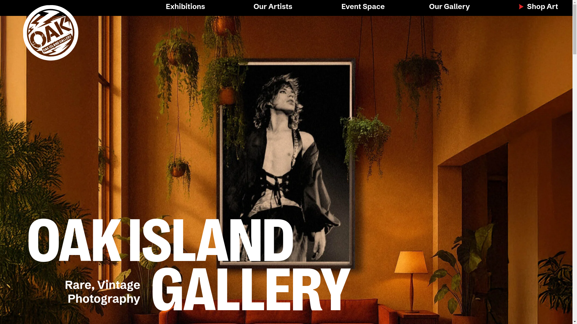 website screenshot of https://oakislandgallery.pages.dev/