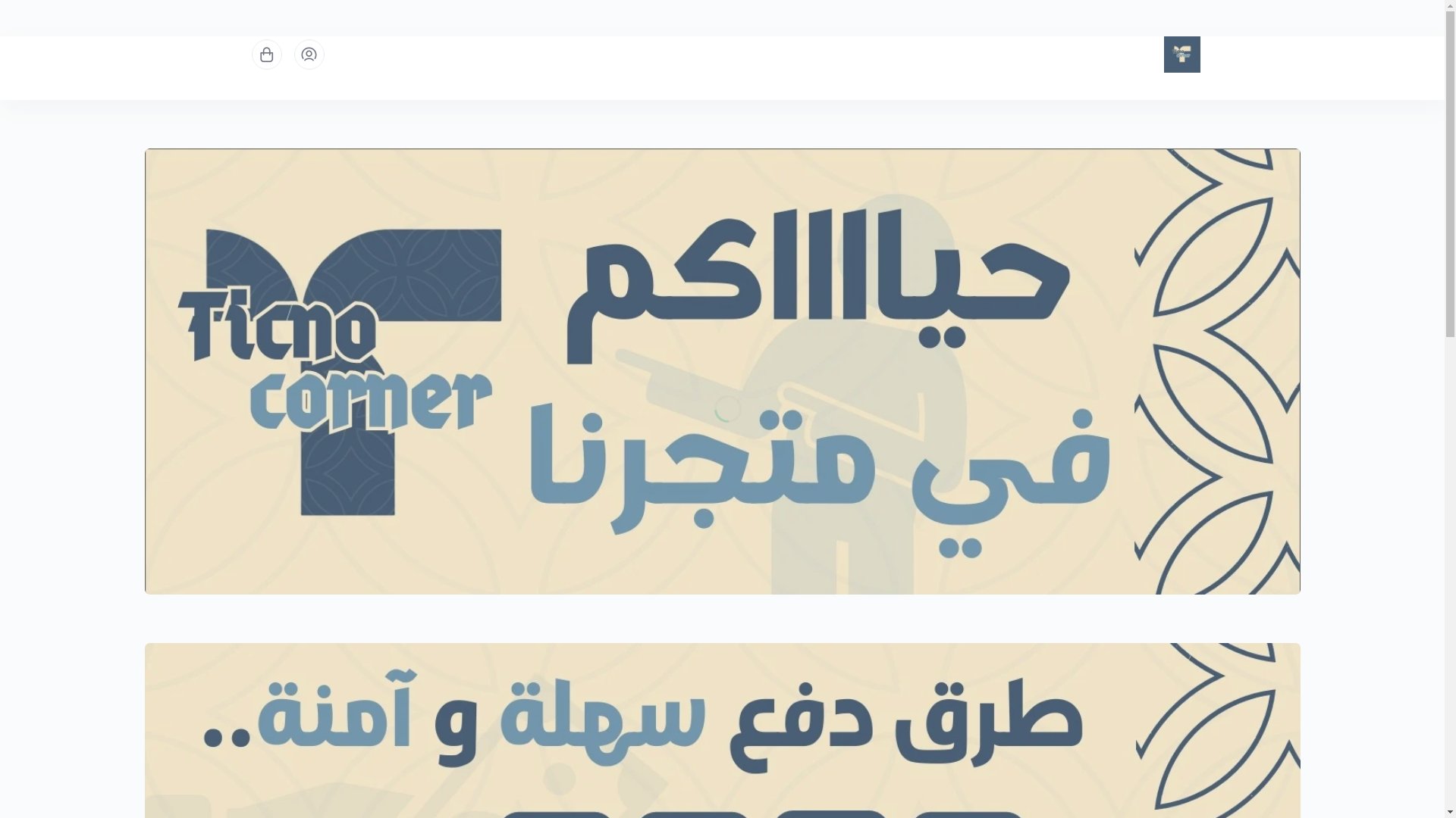 website screenshot of https://ticnostore.com/