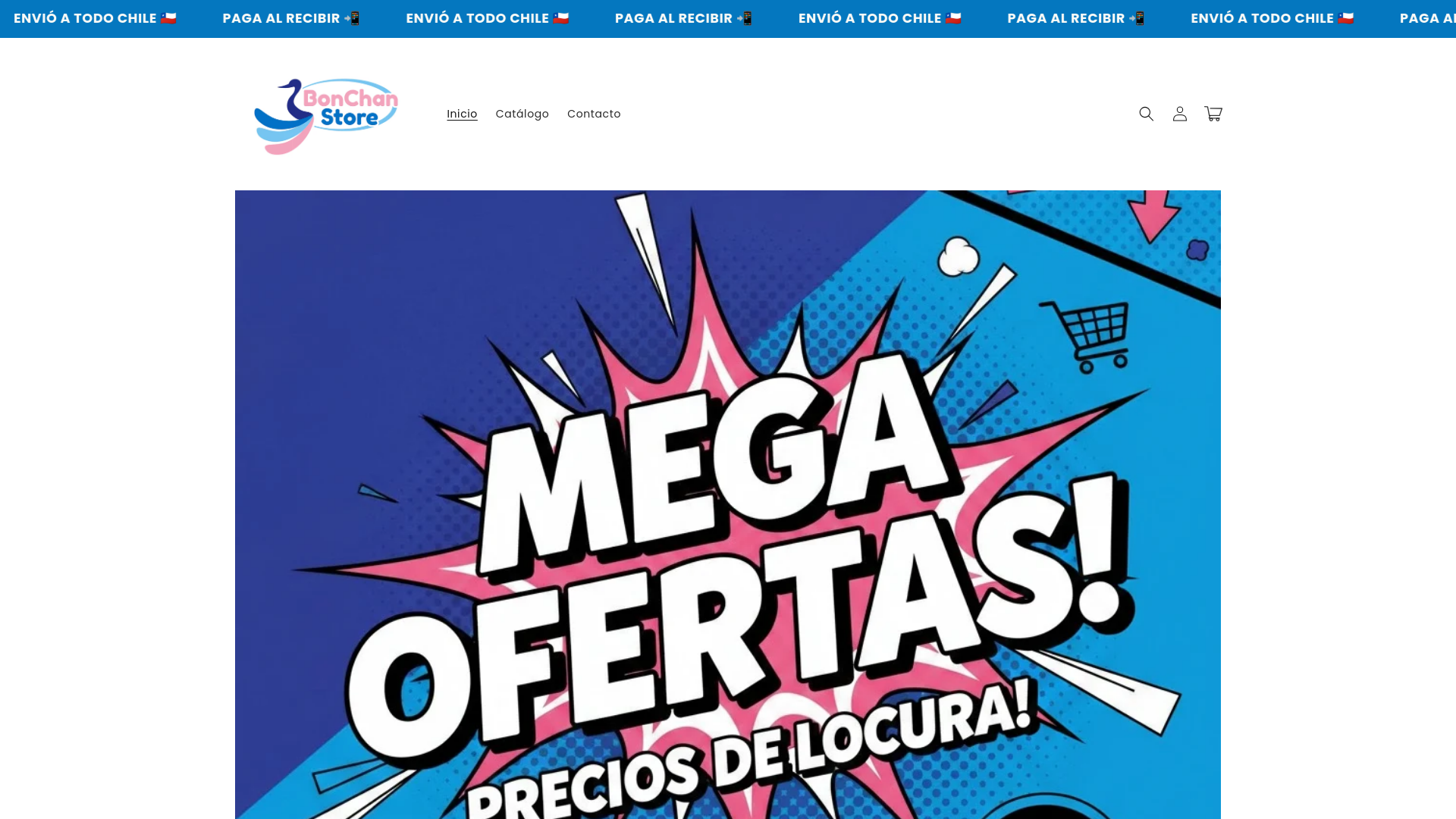 website screenshot of https://bonchanchile.com/