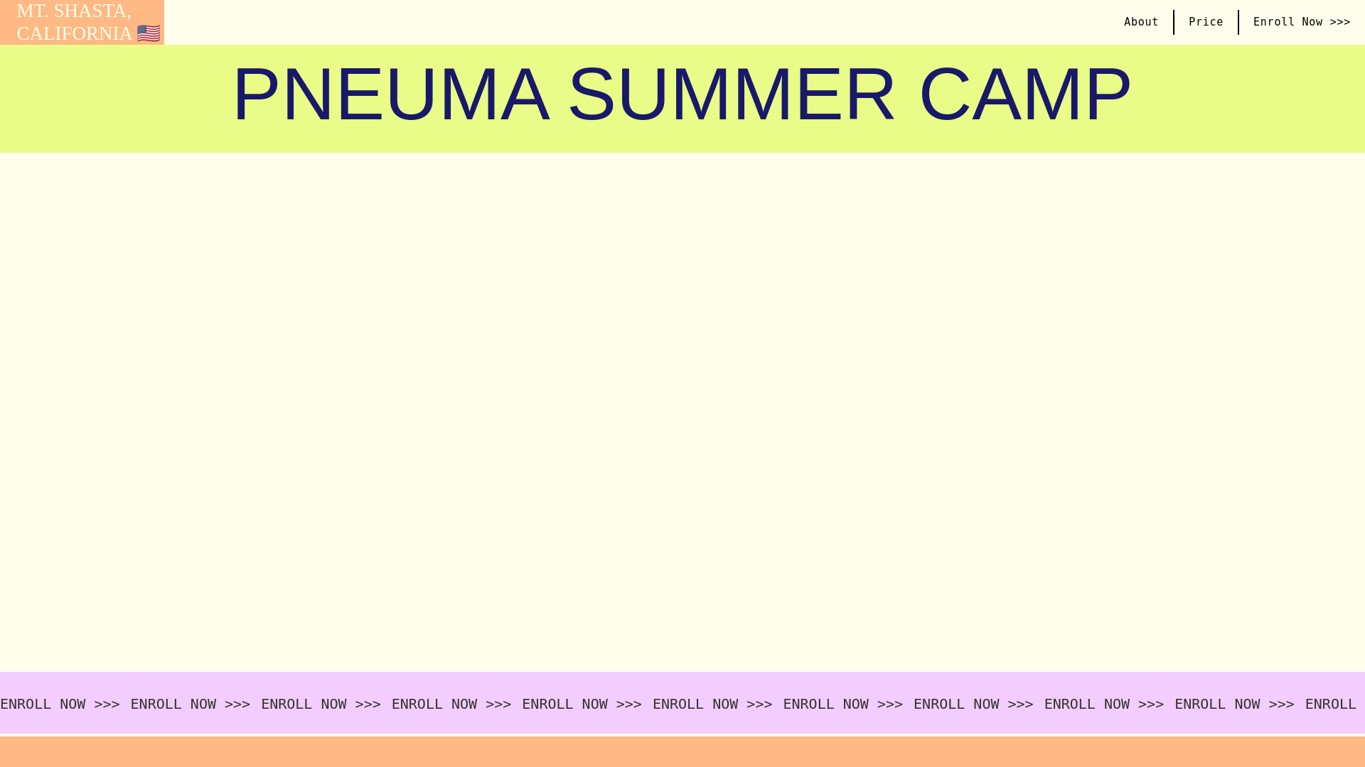 website screenshot of https://pneumasummercamp.com/