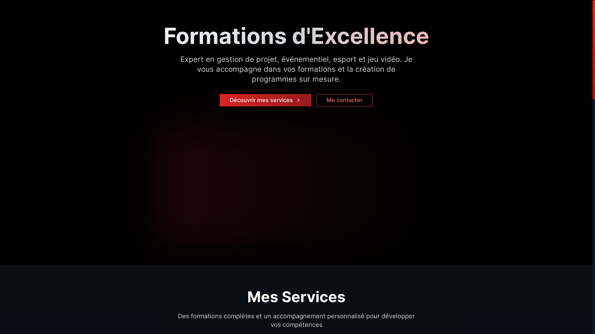 website screenshot of https://es-academy.fr/