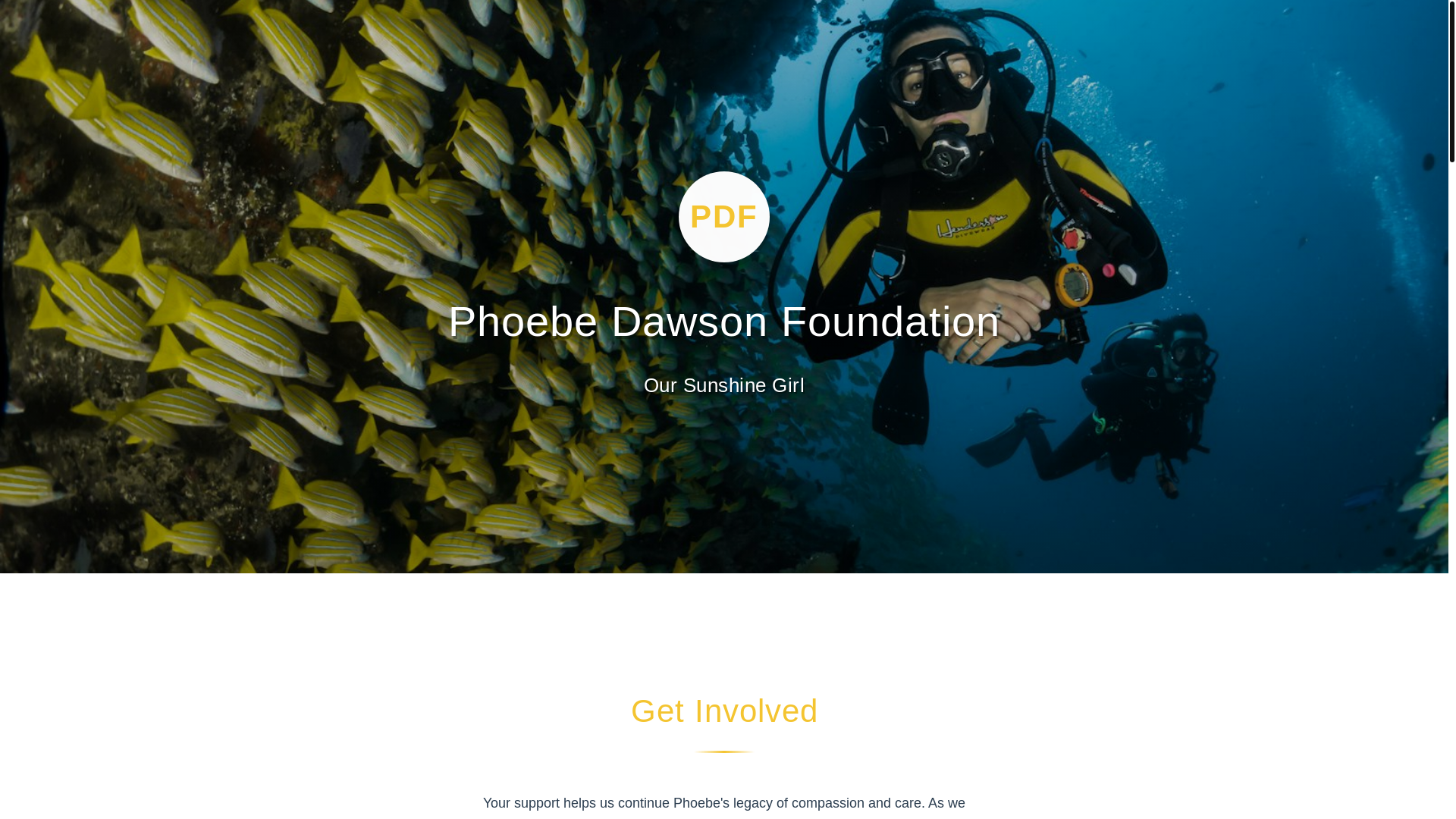 website screenshot of https://phoebedawsonfoundation.com/