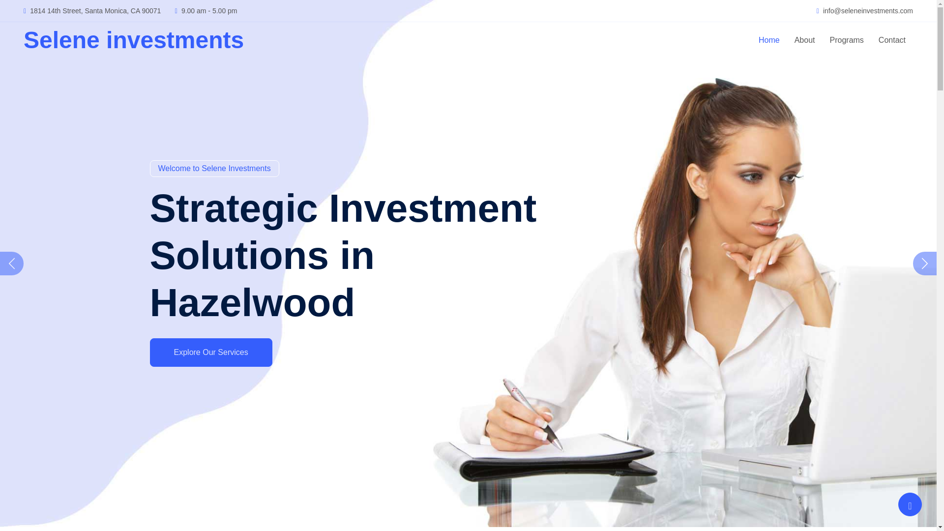 website screenshot of https://seleneinvestments.pages.dev/