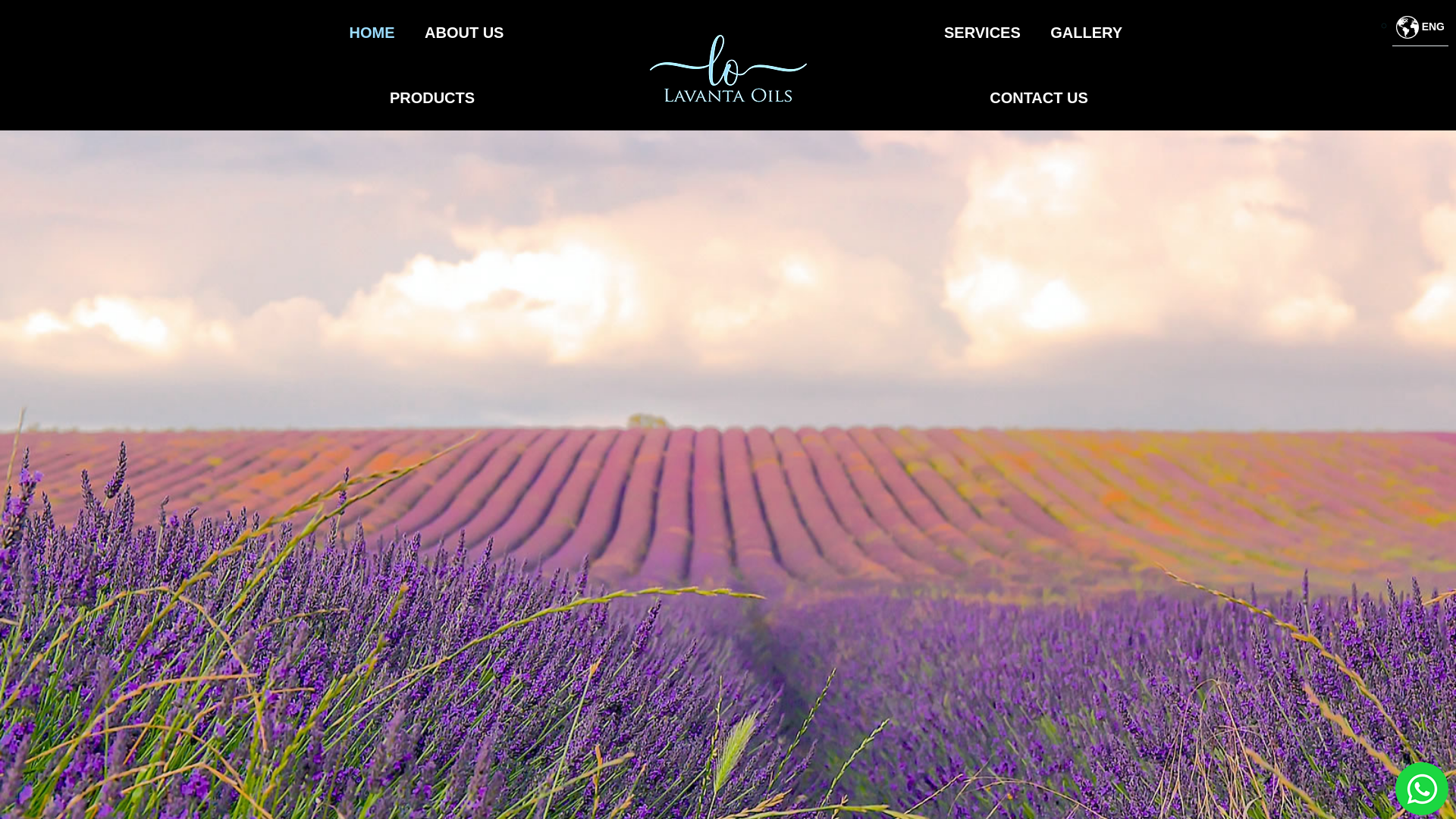 website screenshot of https://lavantaoils.com/