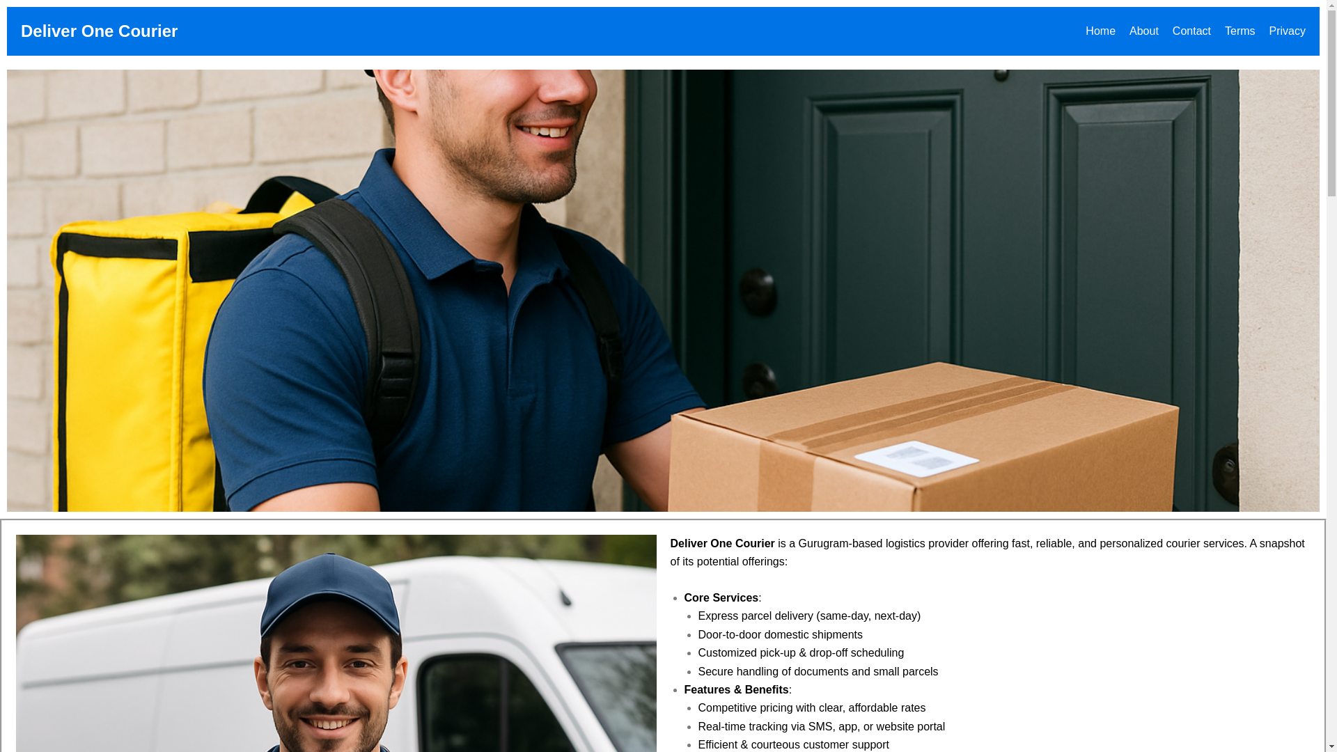 website screenshot of https://deliveronecourier.in/