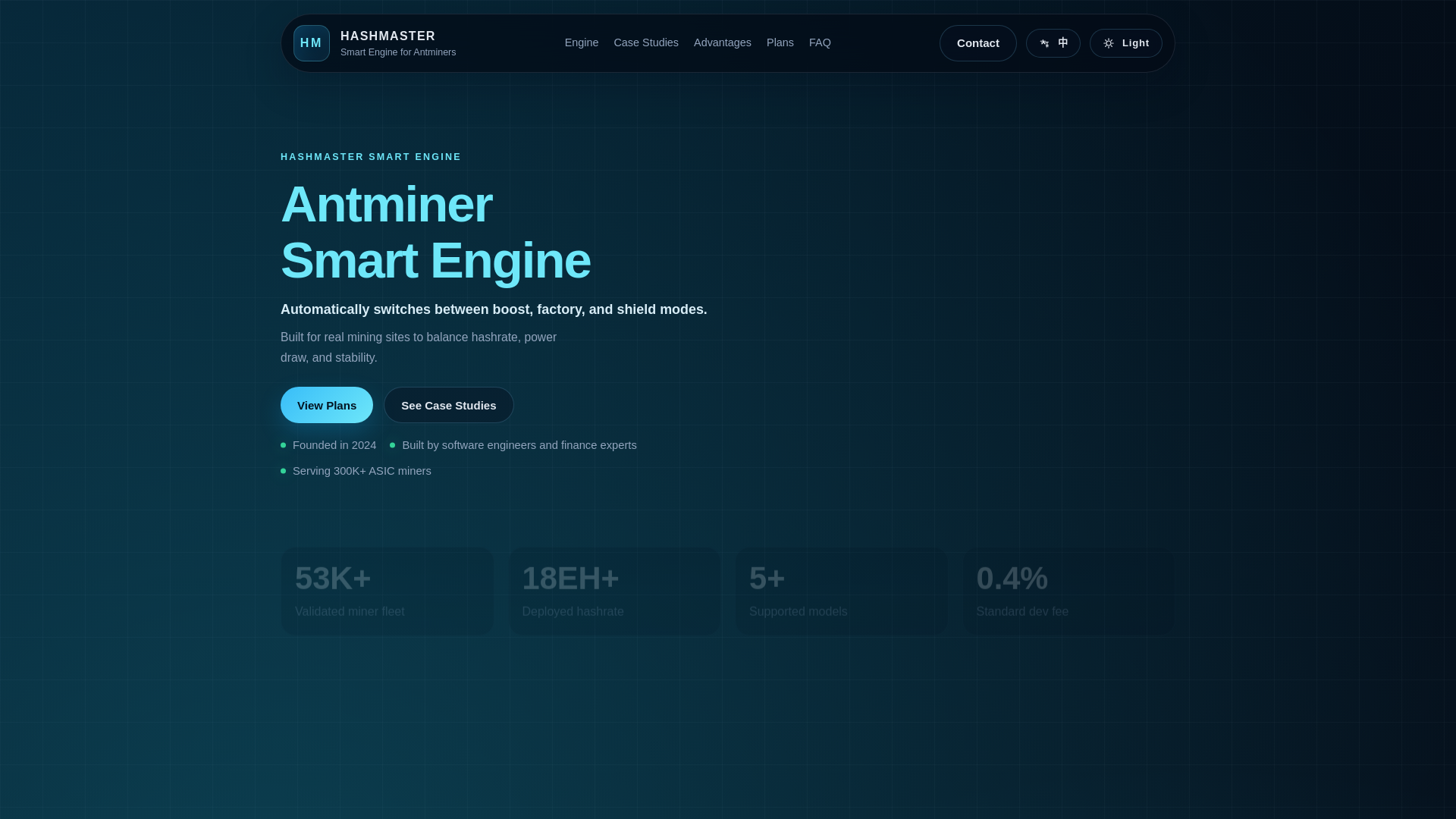 website screenshot of https://hashmaster.tech/