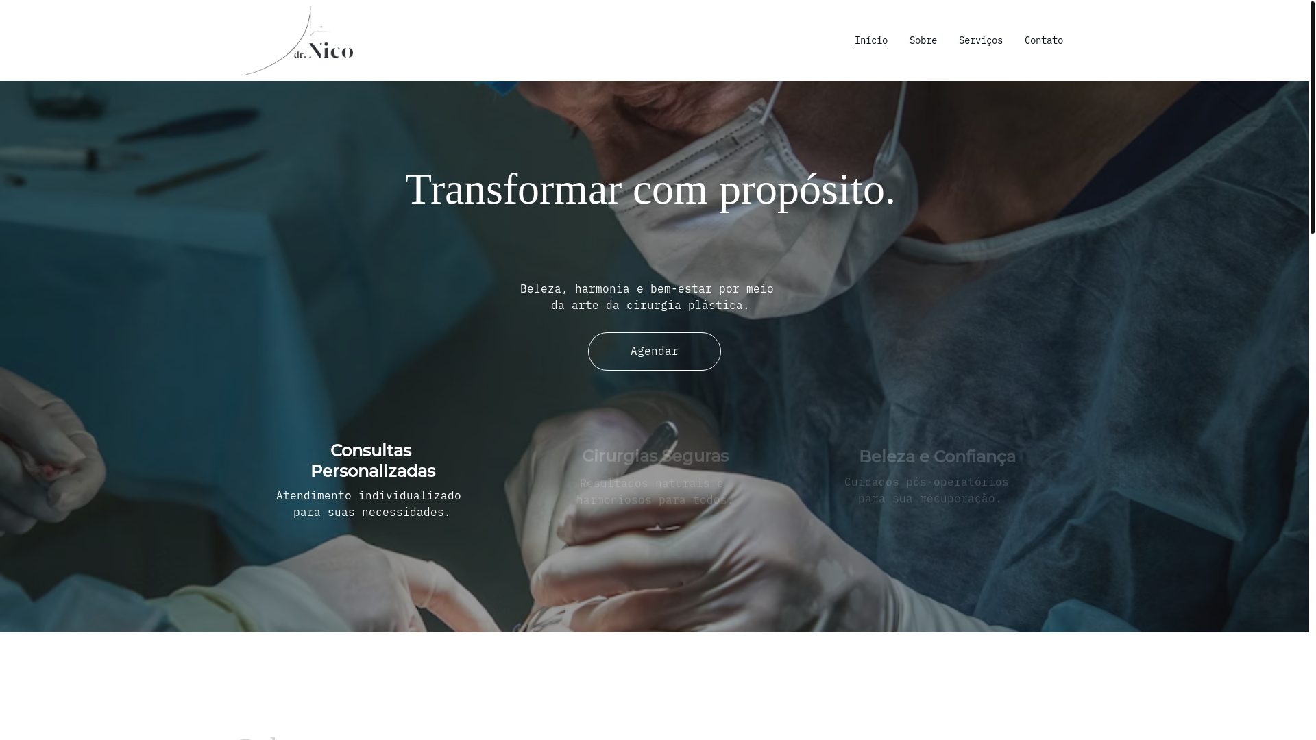 website screenshot of https://nicodemus.net.br/