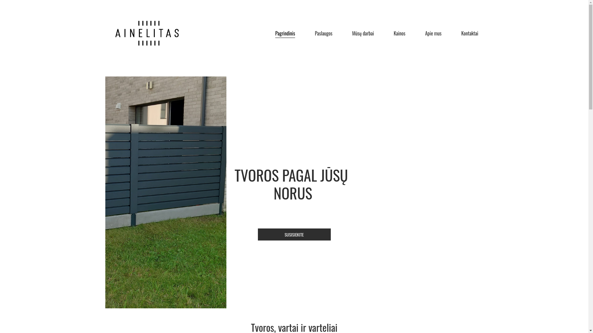 website screenshot of https://ainelitas.lt/