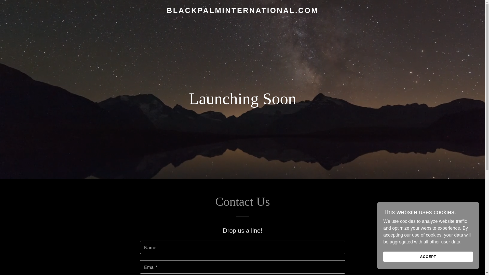 website screenshot of https://blackpalminternational.com/
