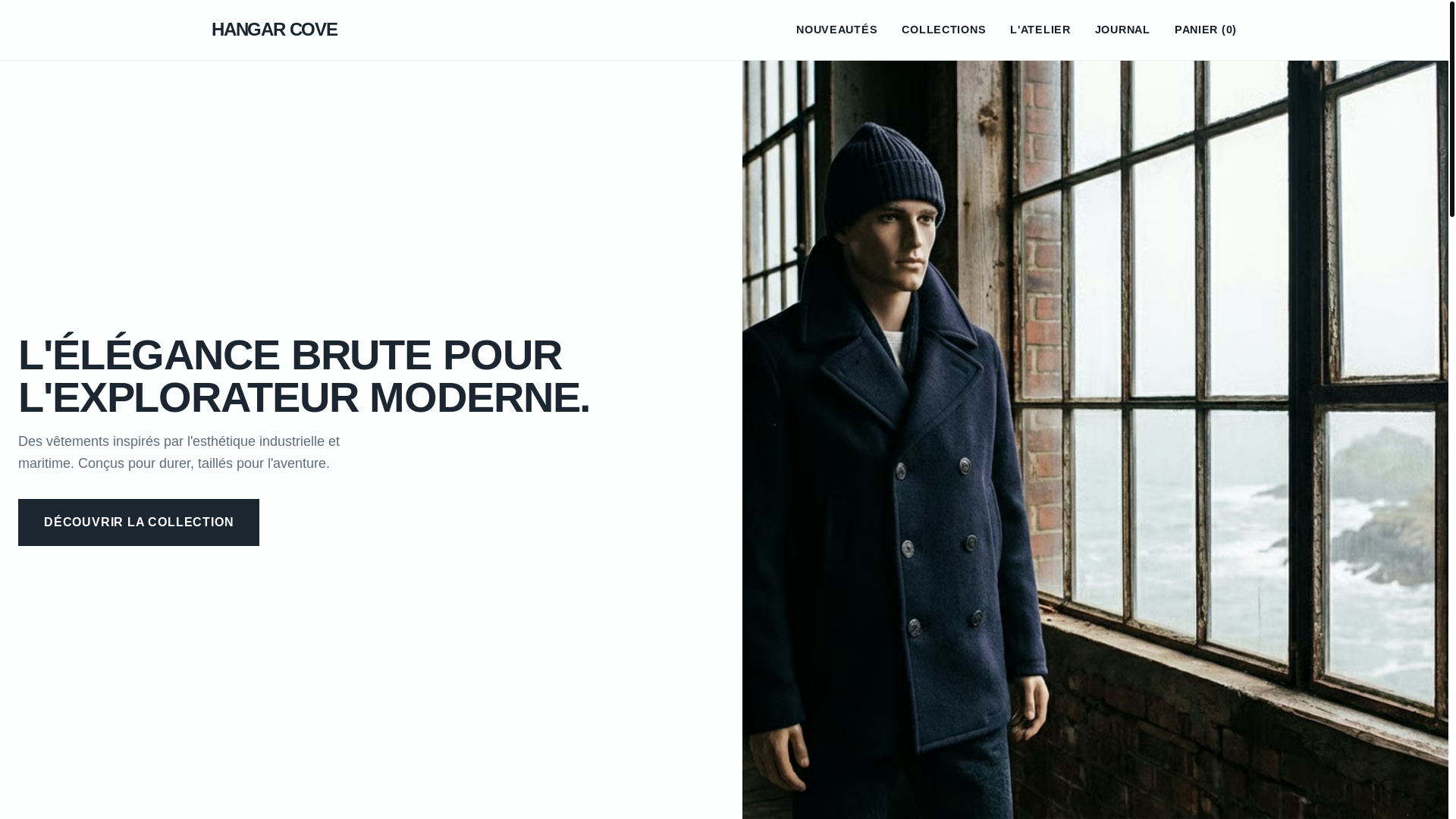 website screenshot of https://hangarcove.com/
