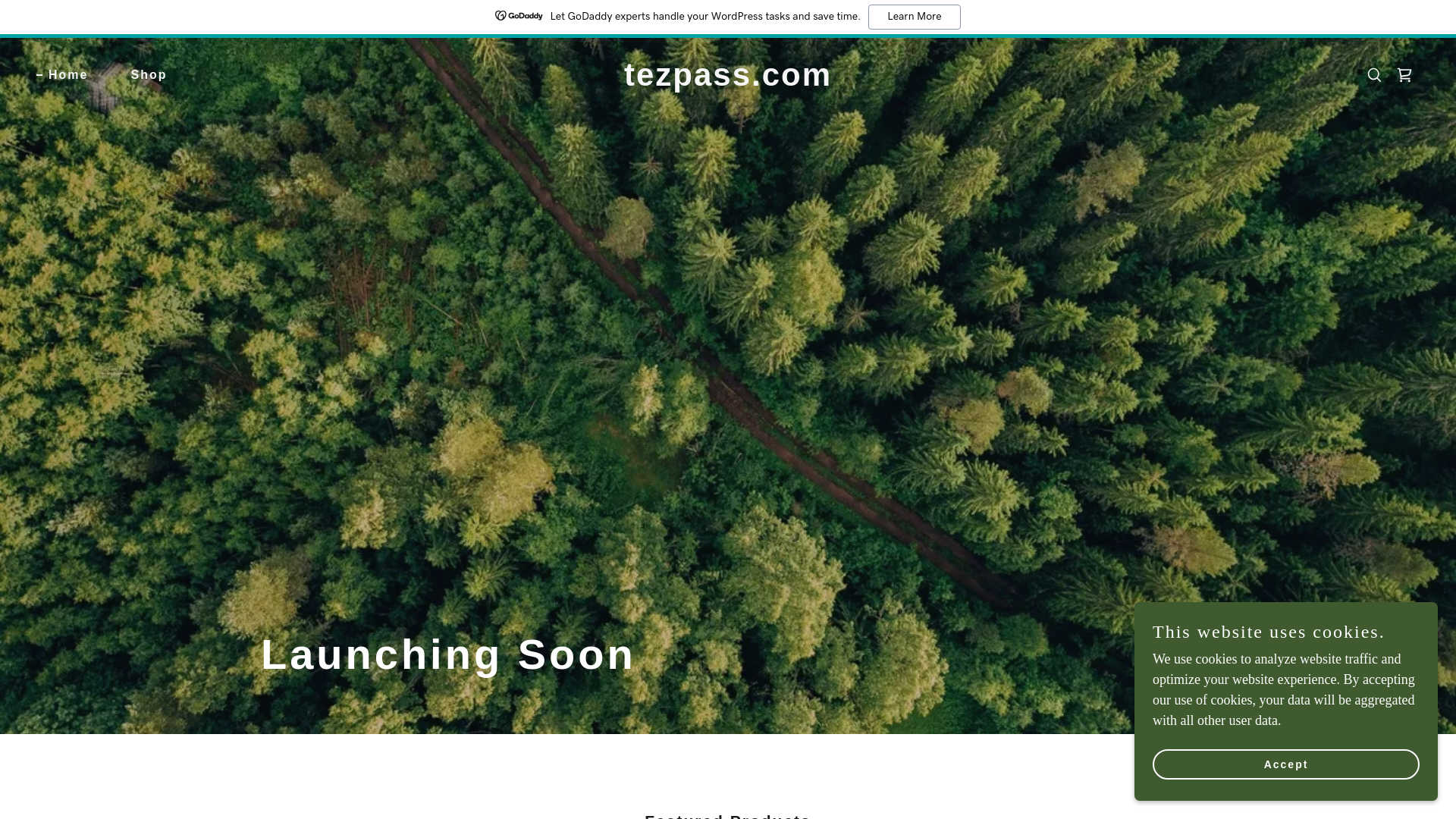 website screenshot of https://tezpass.com/