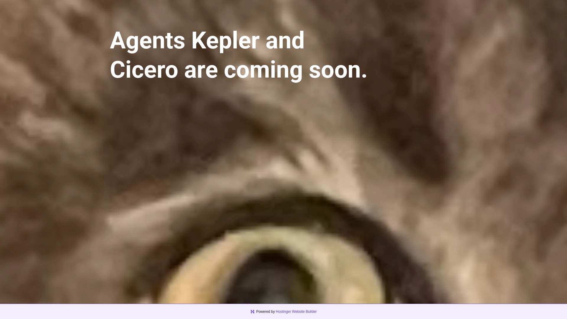 website screenshot of https://agentkepler.tech/