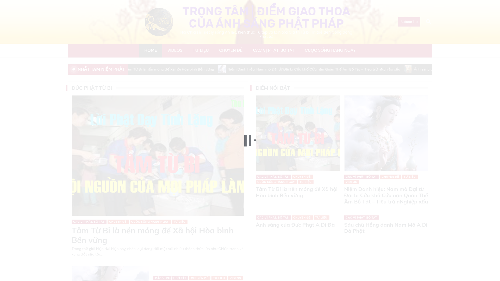 website screenshot of https://trongtam.com.vn/