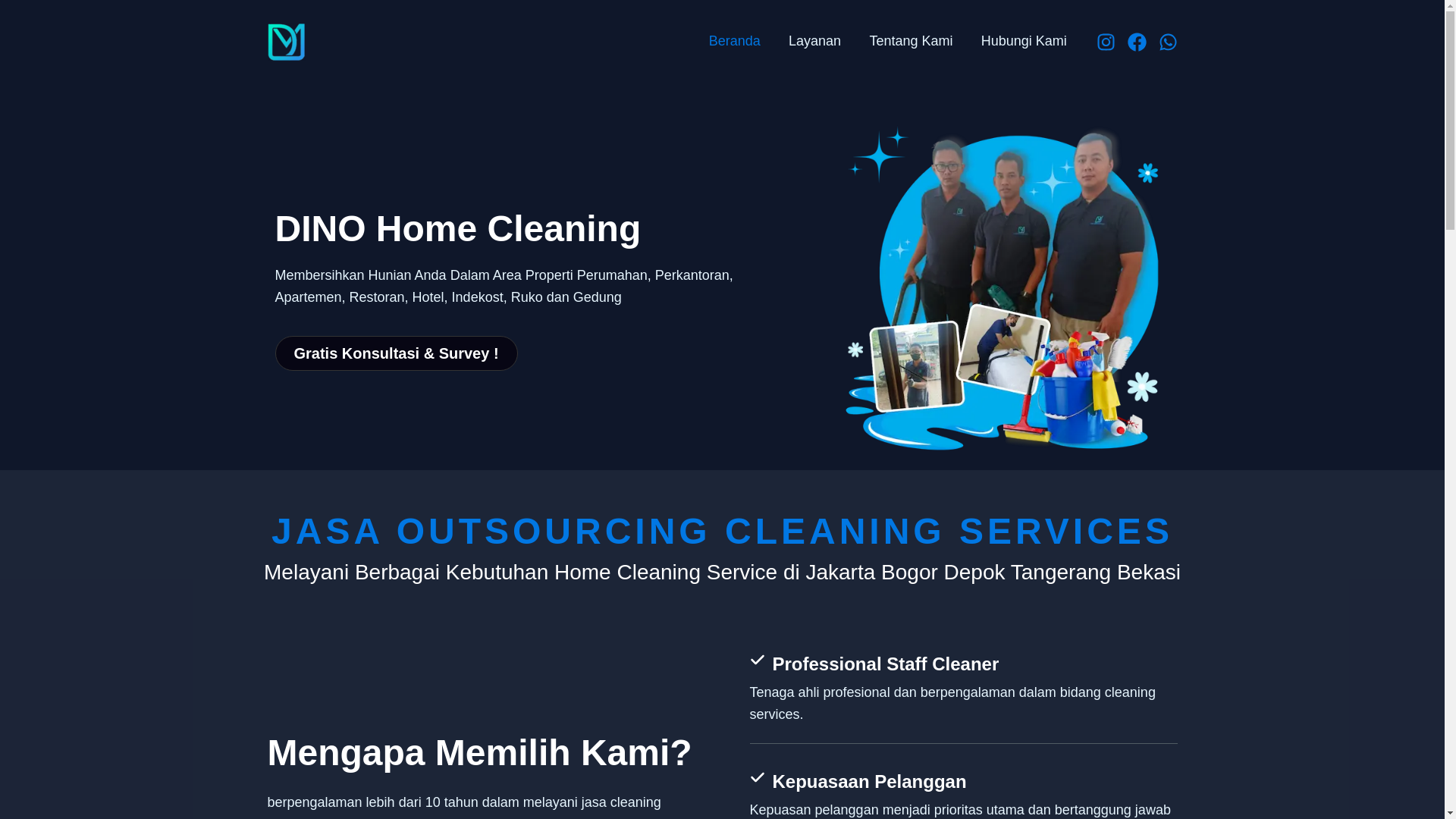 website screenshot of https://dinocleaning.pages.dev/