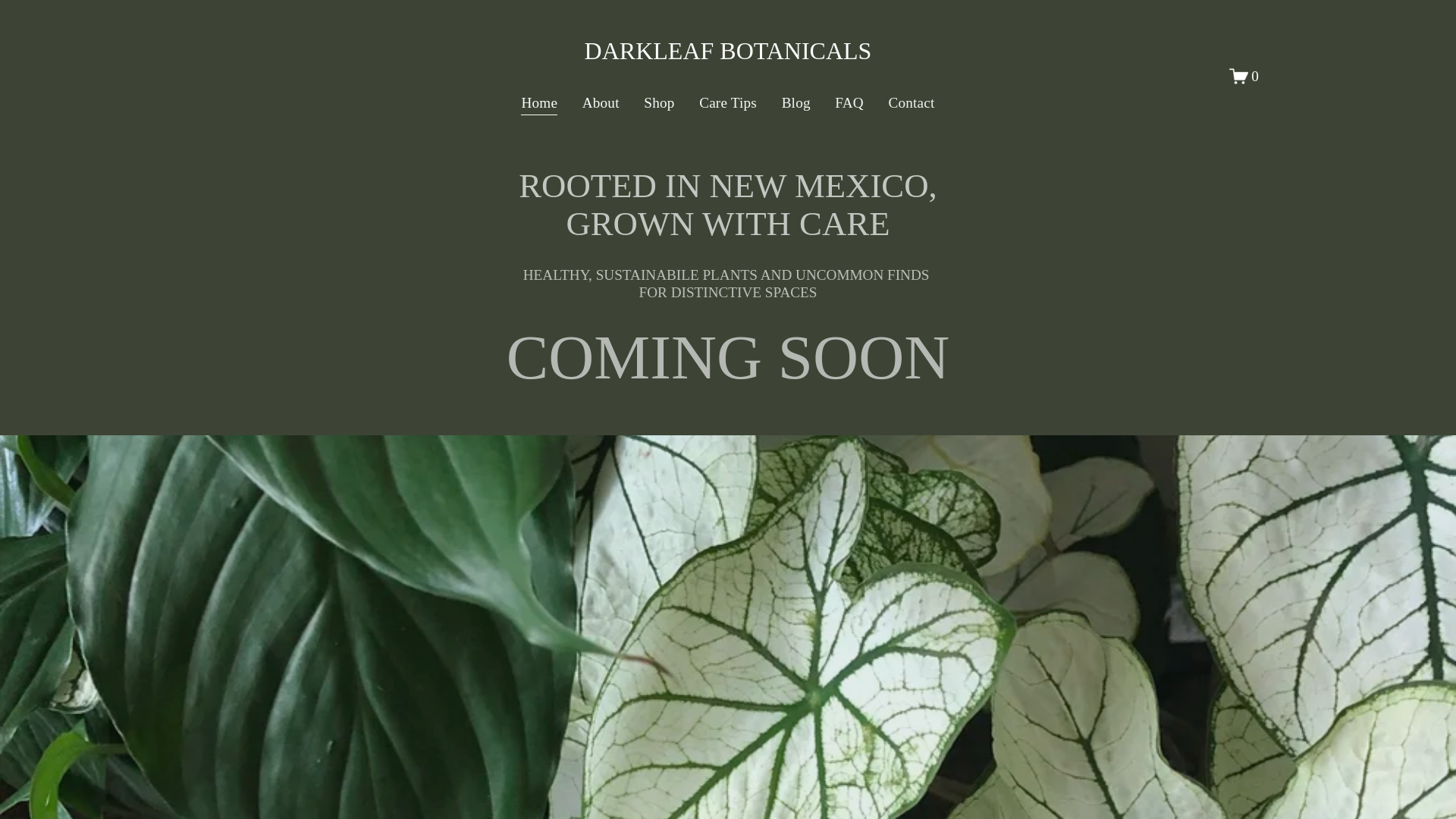 website screenshot of https://darkleafbotanicals.com/