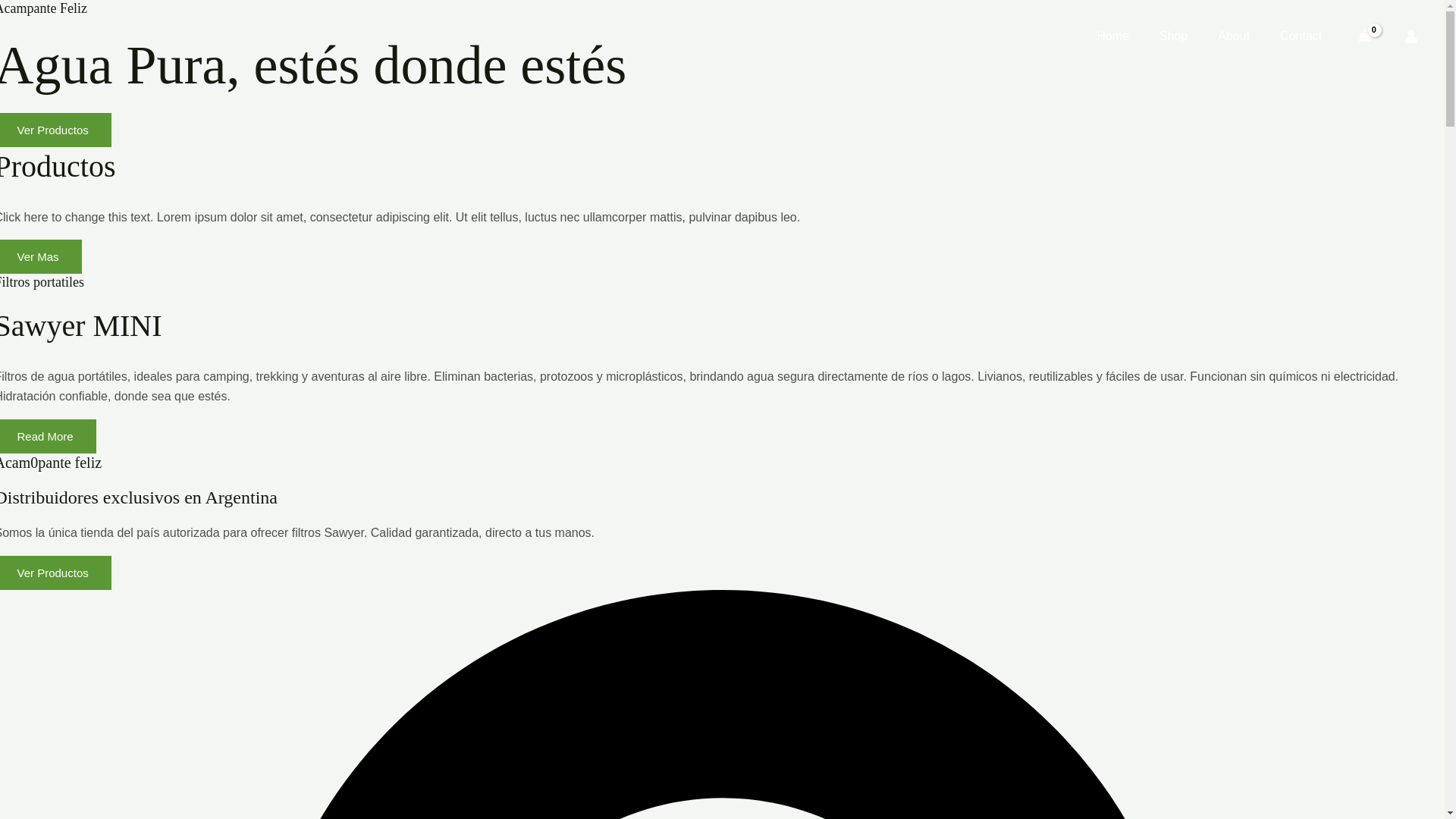 website screenshot of https://acampantefeliz.com/