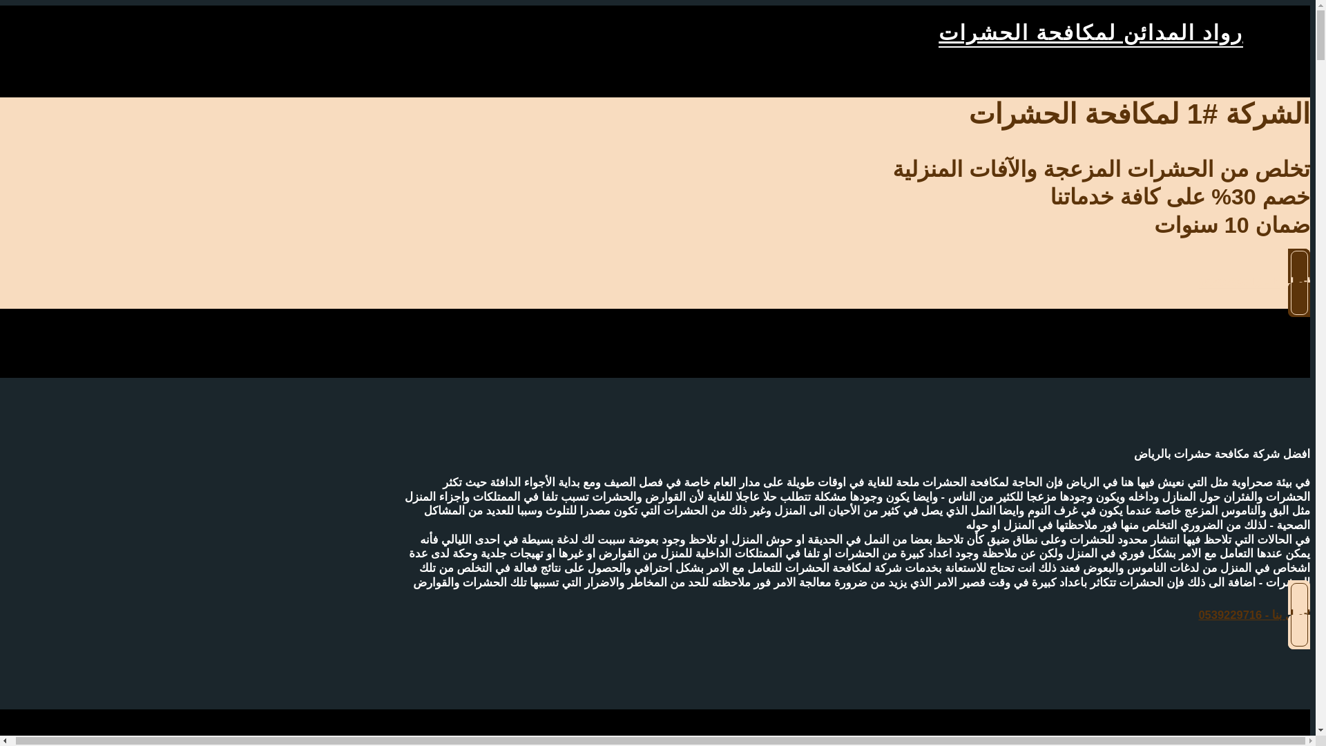 website screenshot of https://rowadelmdaen.com/
