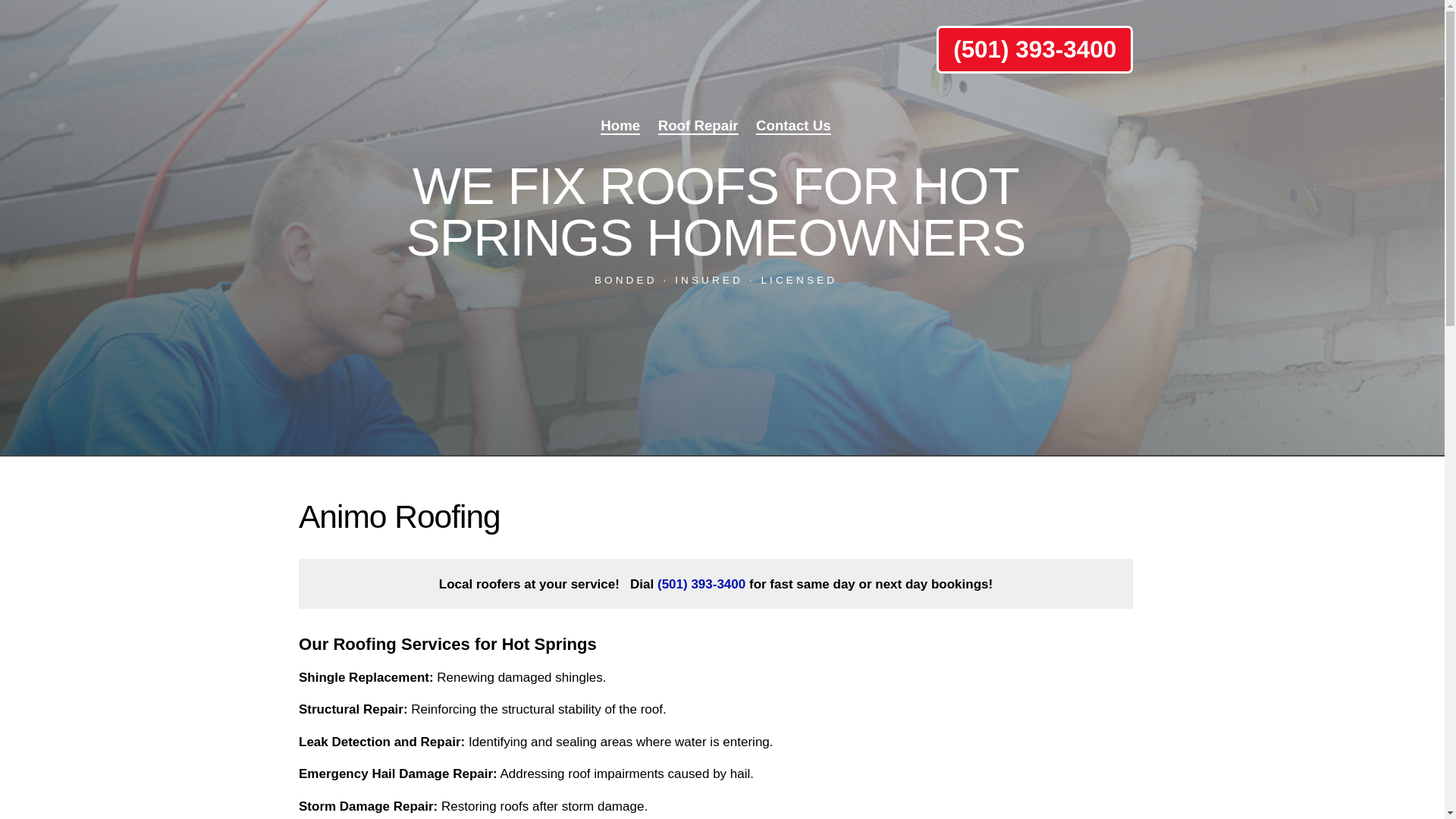 website screenshot of https://firstanimoroofingar.com/