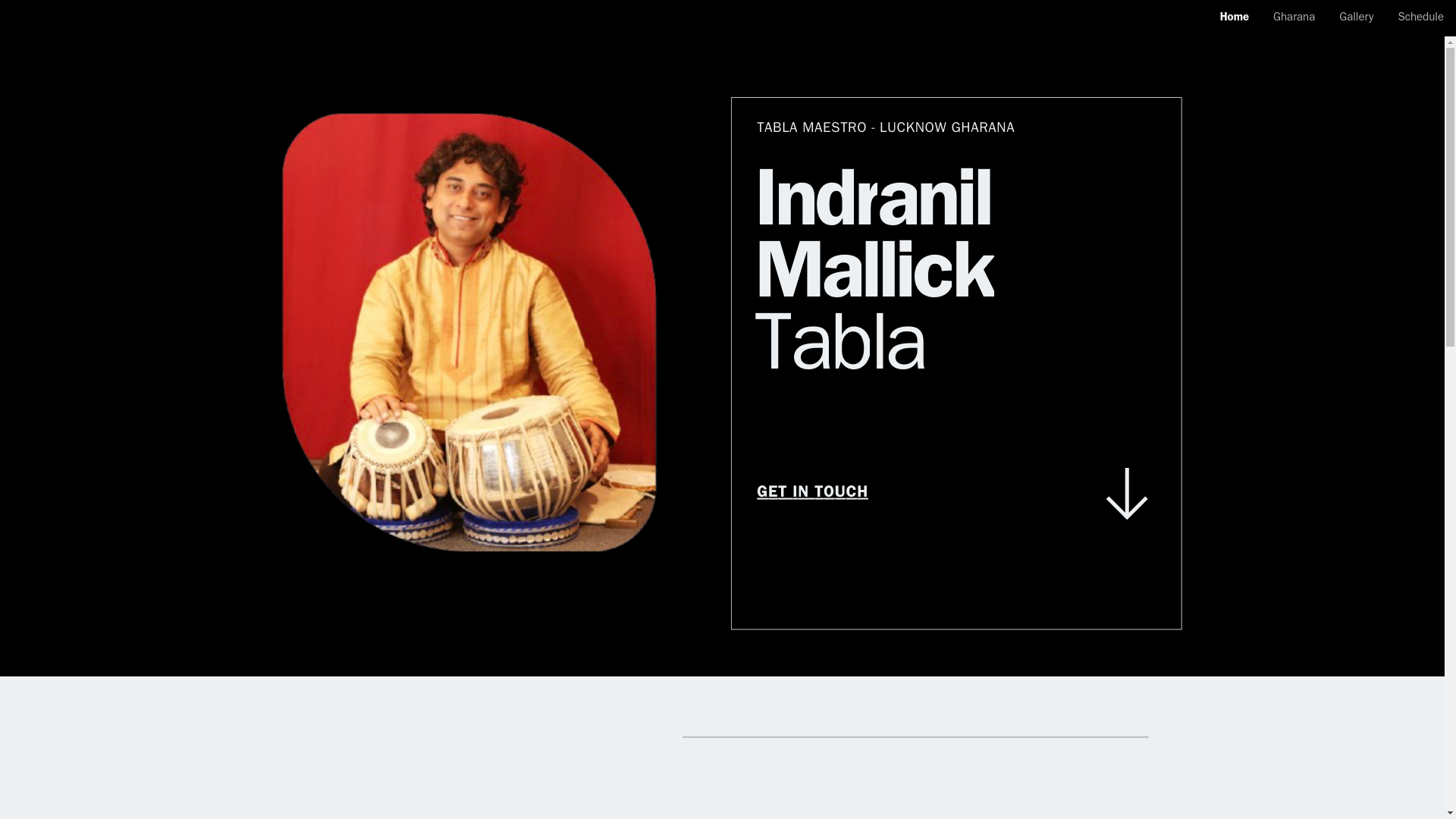 website screenshot of https://indranilmallick.com/