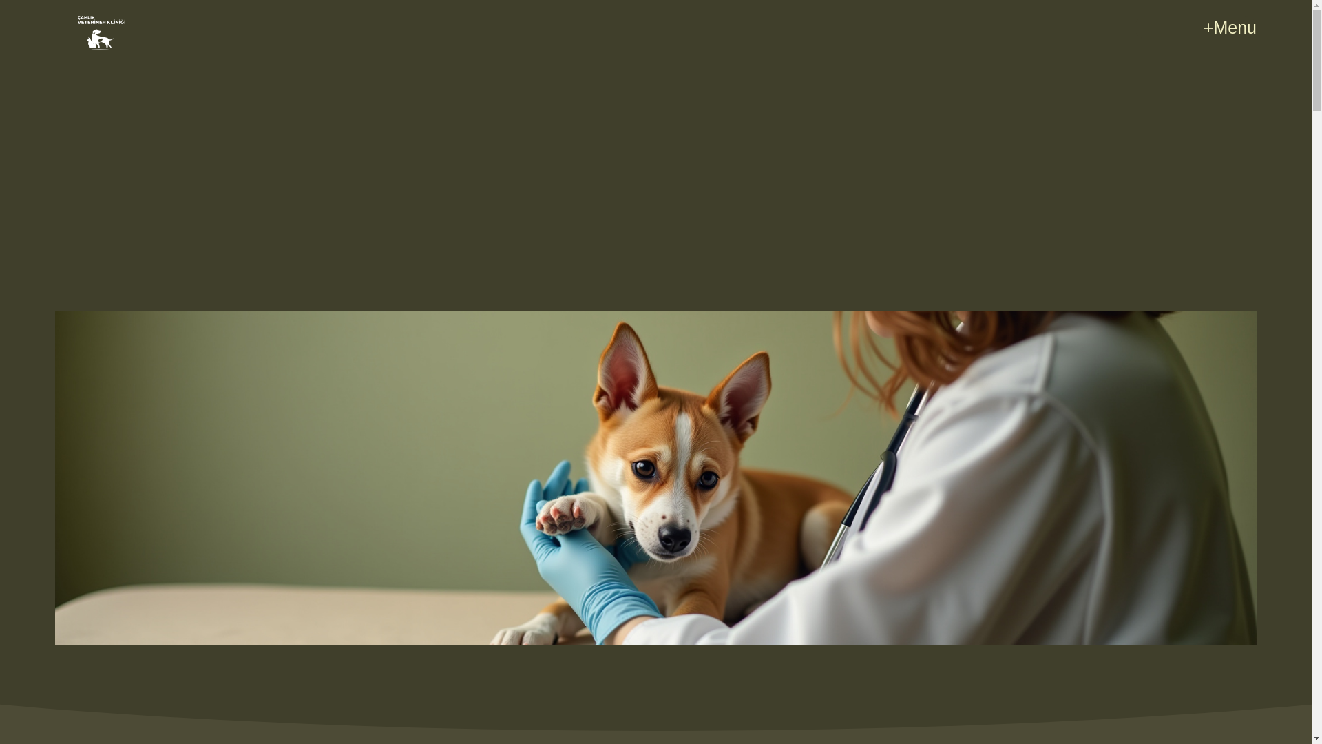 website screenshot of https://camlikveterinerklinigi.com/