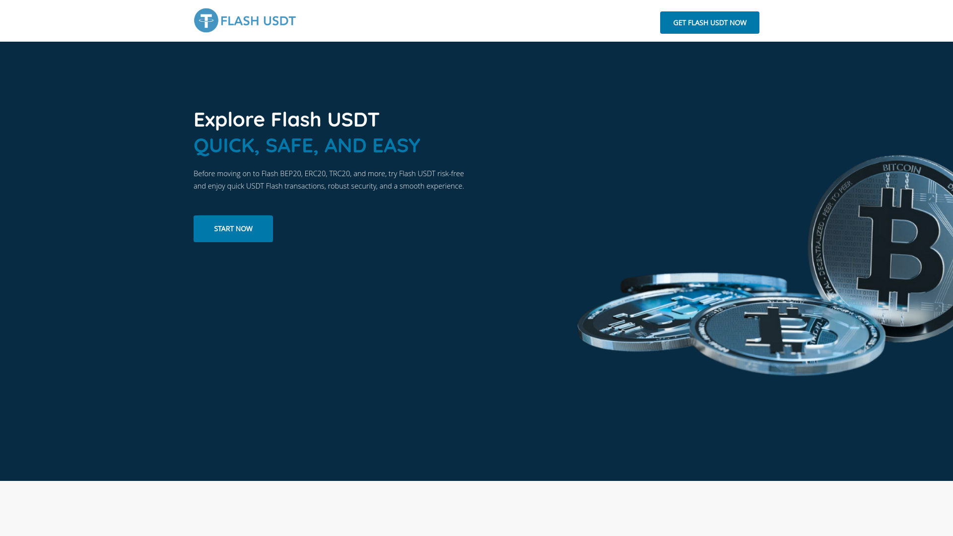 website screenshot of https://usdtflash.uk/