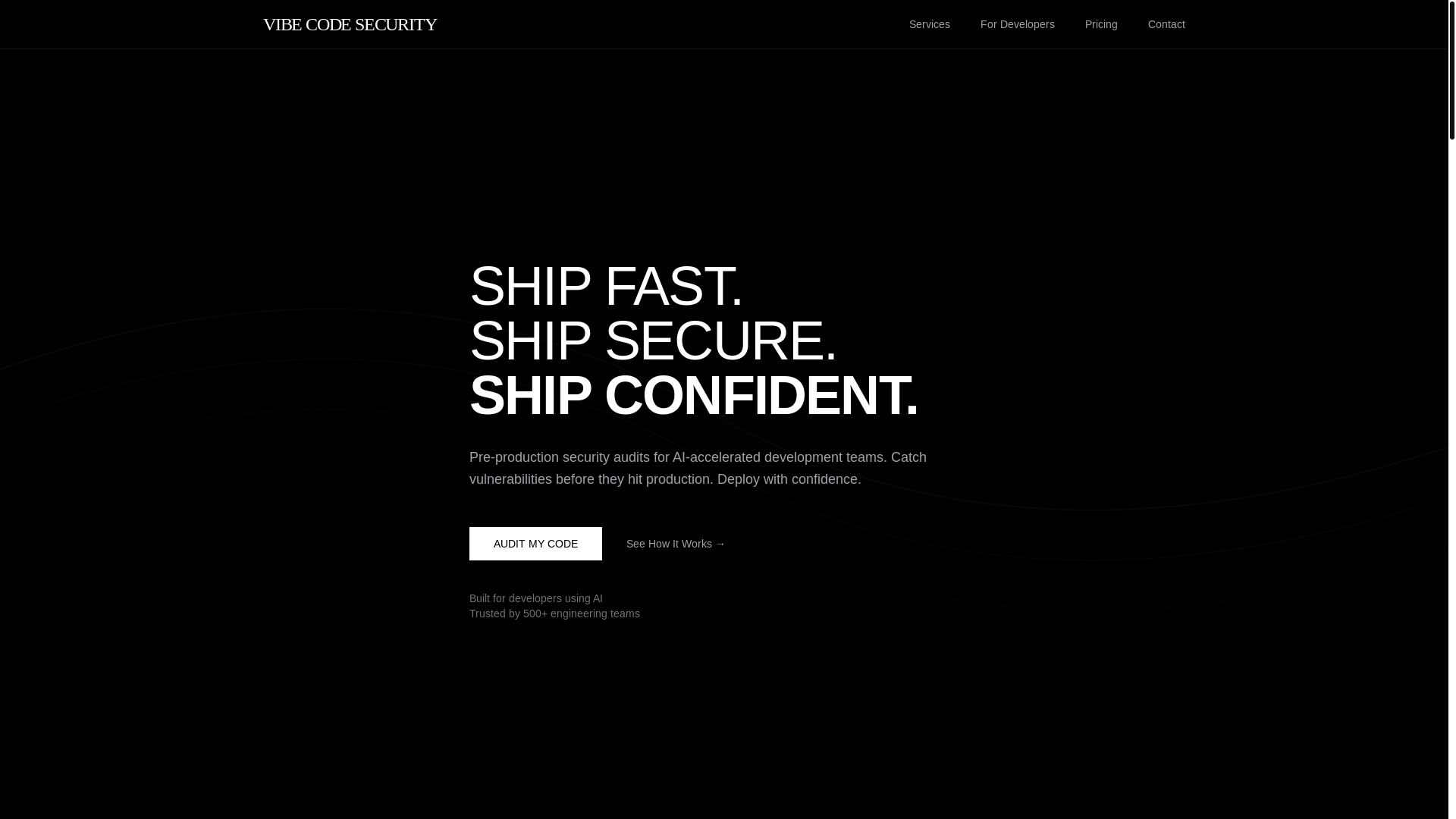 website screenshot of https://vibecodesecurity.dev/