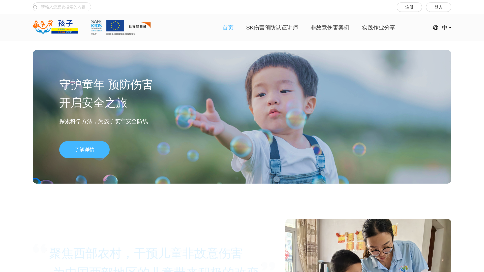 website screenshot of https://haizi-cso.com/