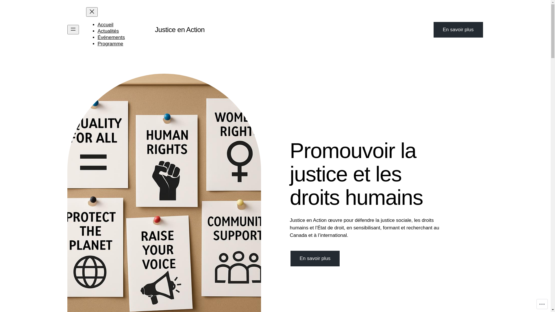 website screenshot of https://justiceenaction.org/