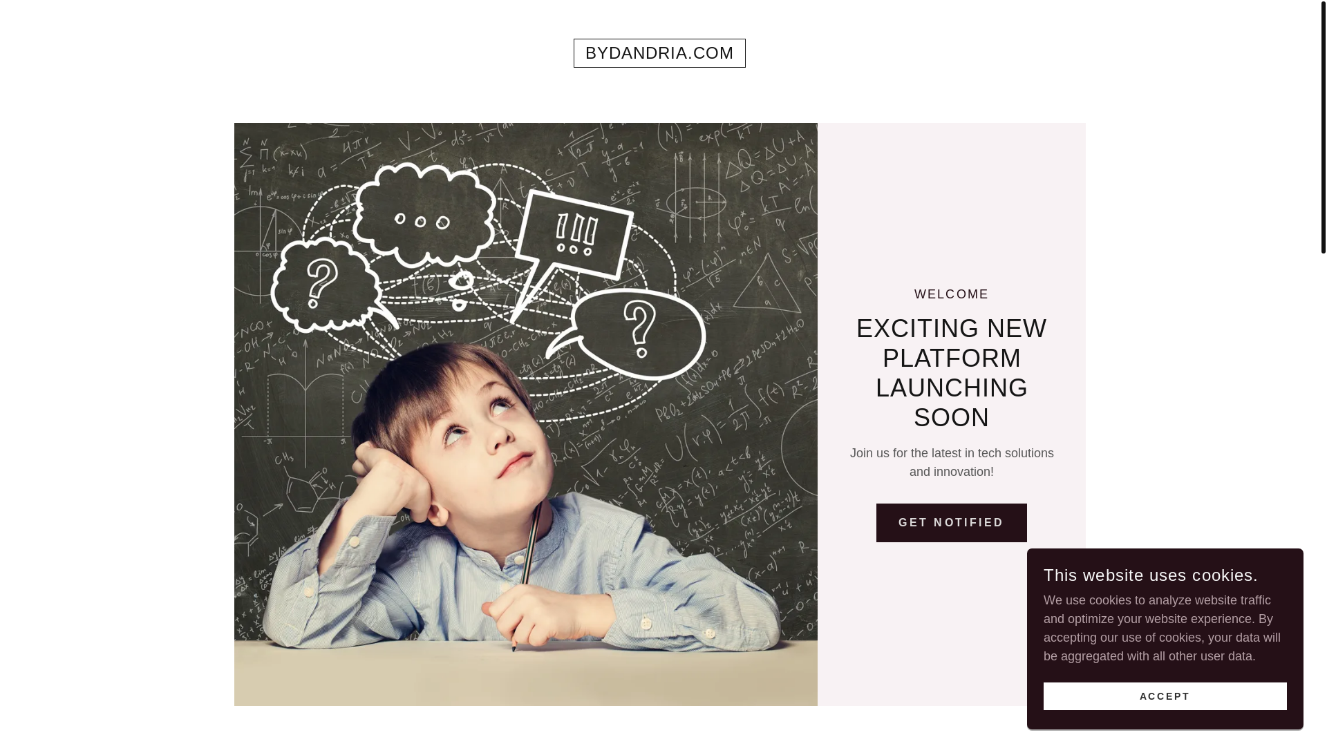 website screenshot of https://bydandria.com/