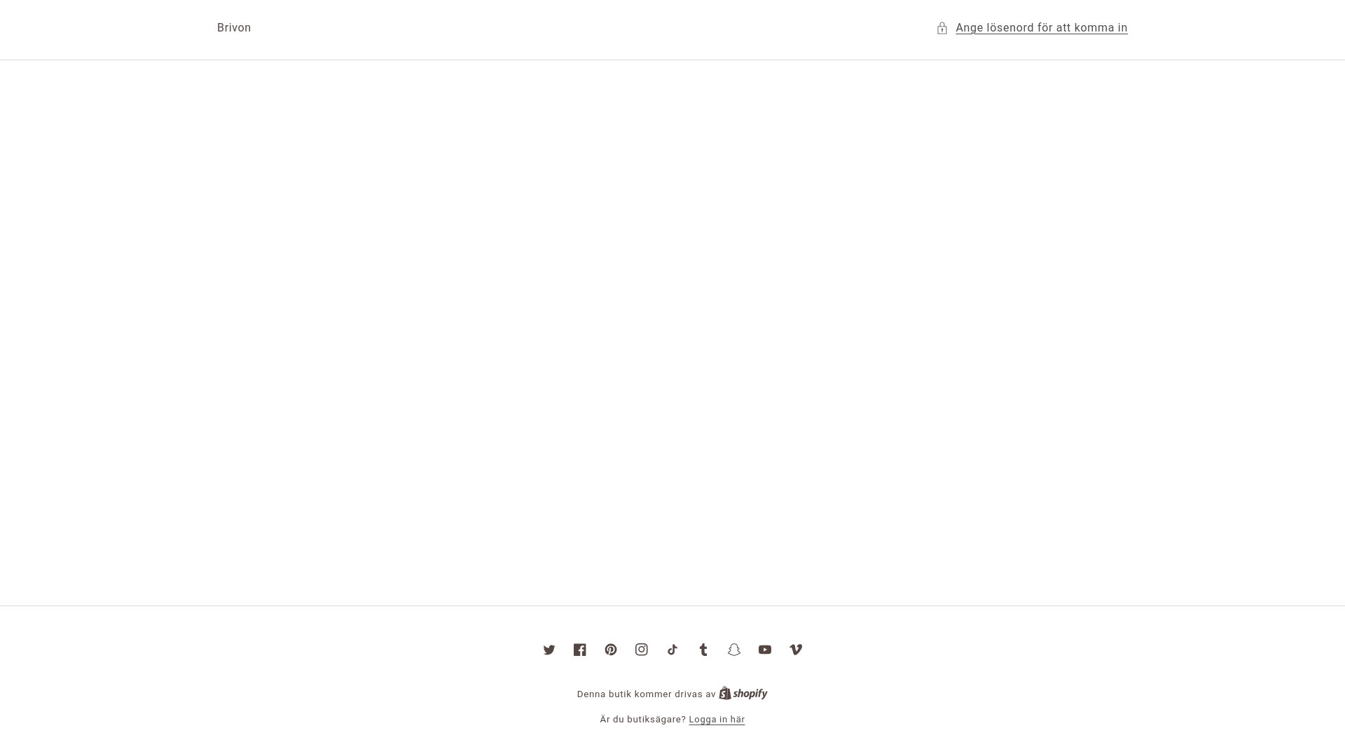 website screenshot of https://brivon.se/